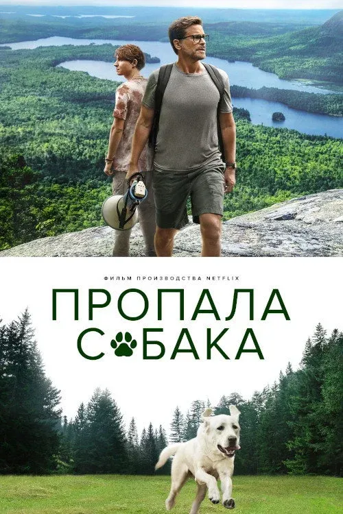 Постер фильма Пропала собака