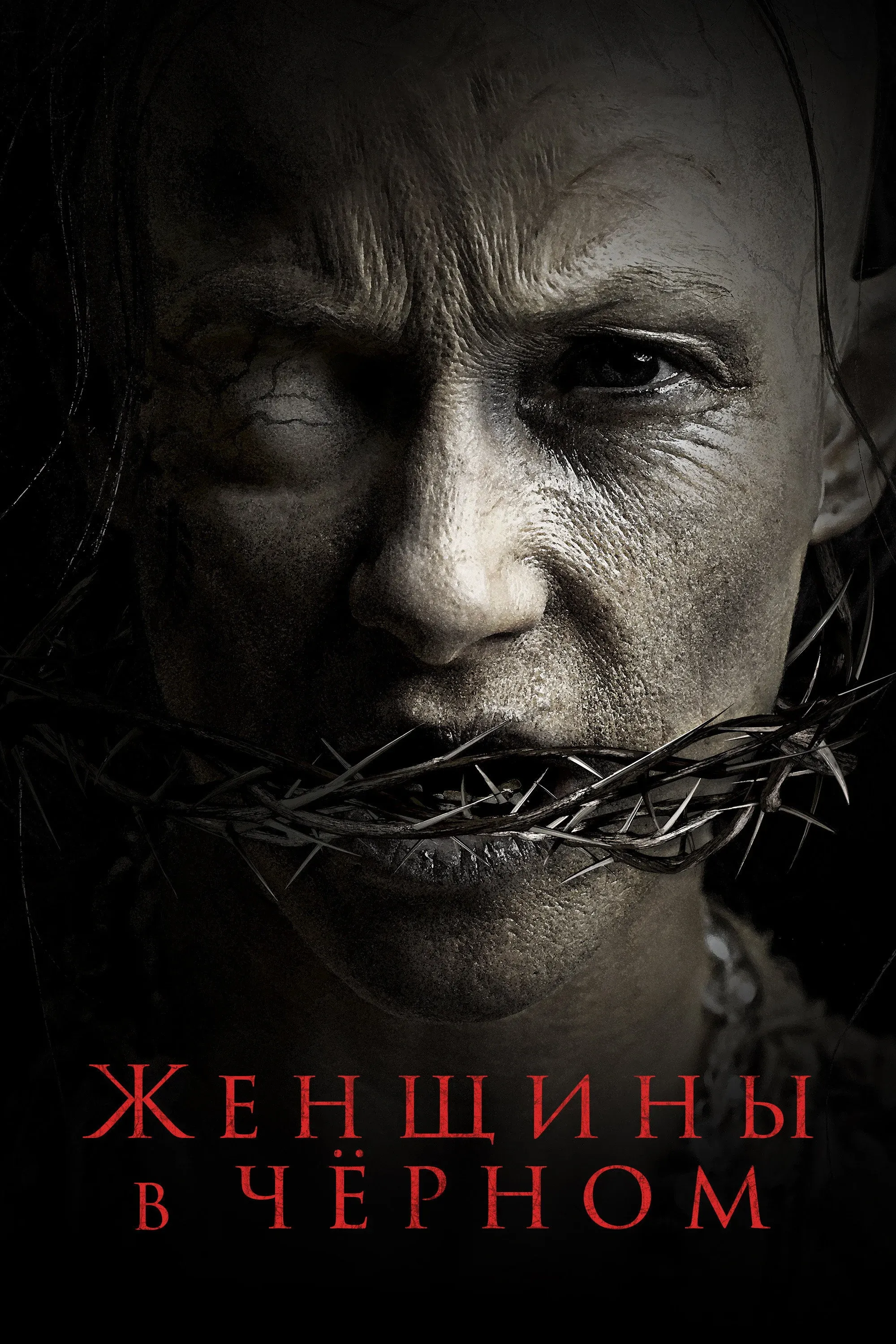 Постер фильма Женщины в чёрном