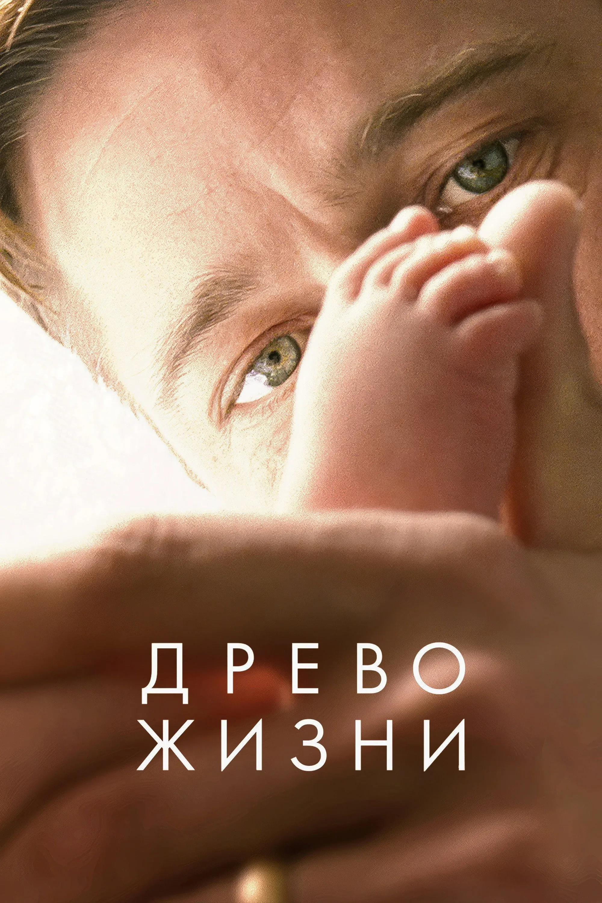 Постер фильма Древо жизни