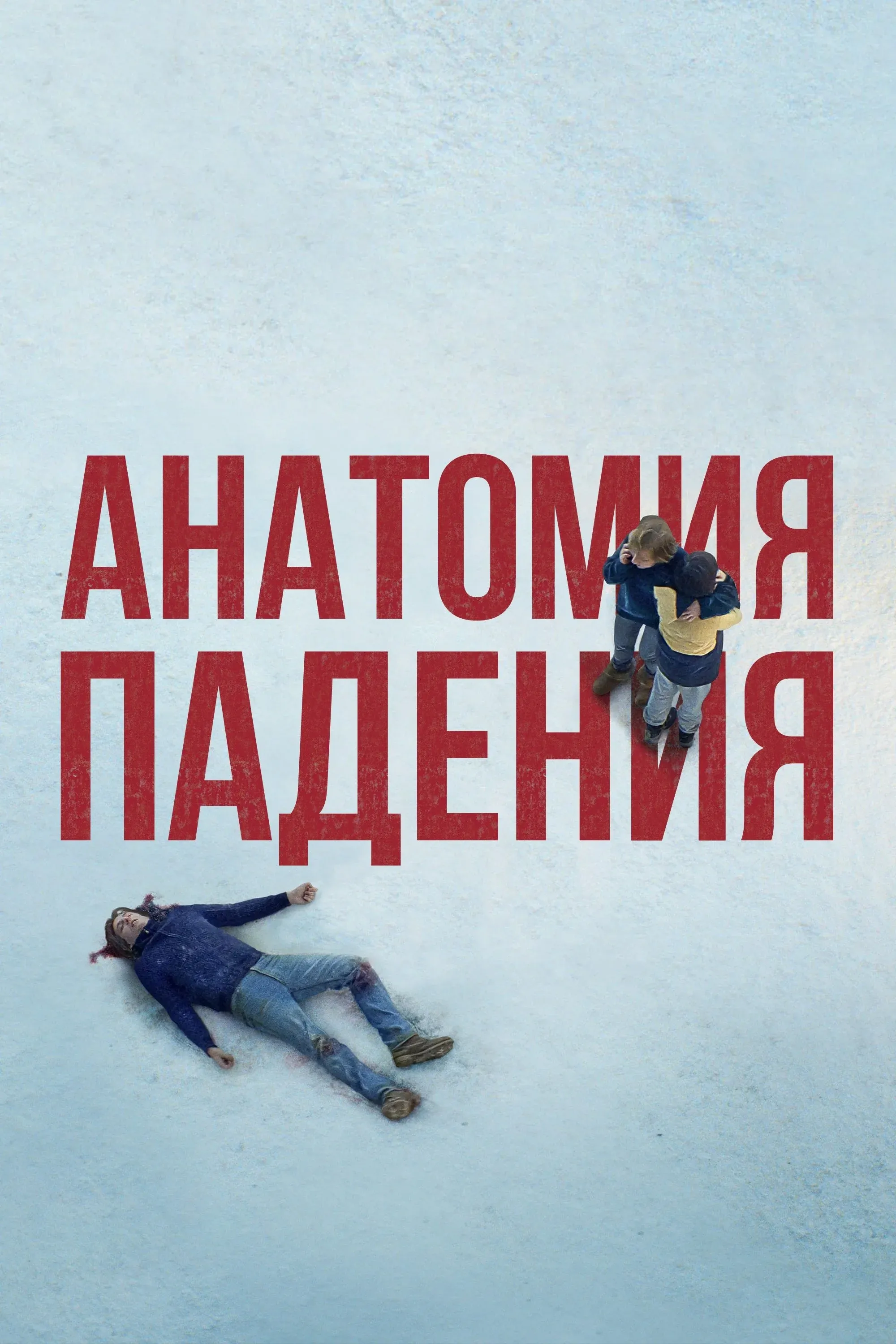 Постер фильма Анатомия падения