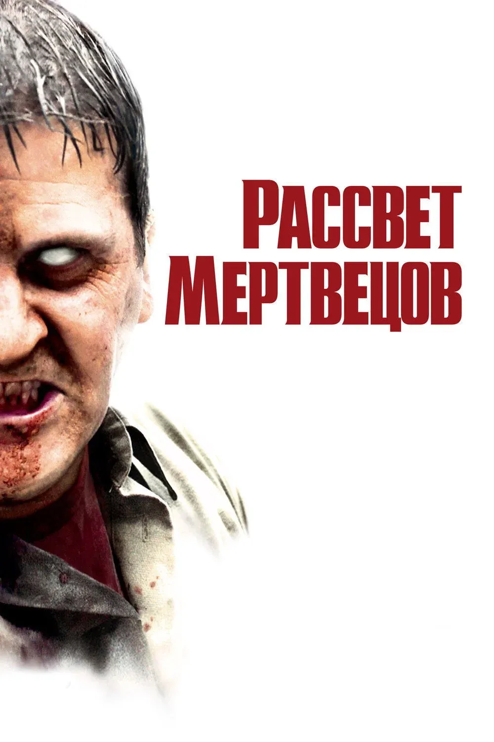 Постер фильма Рассвет мертвецов
