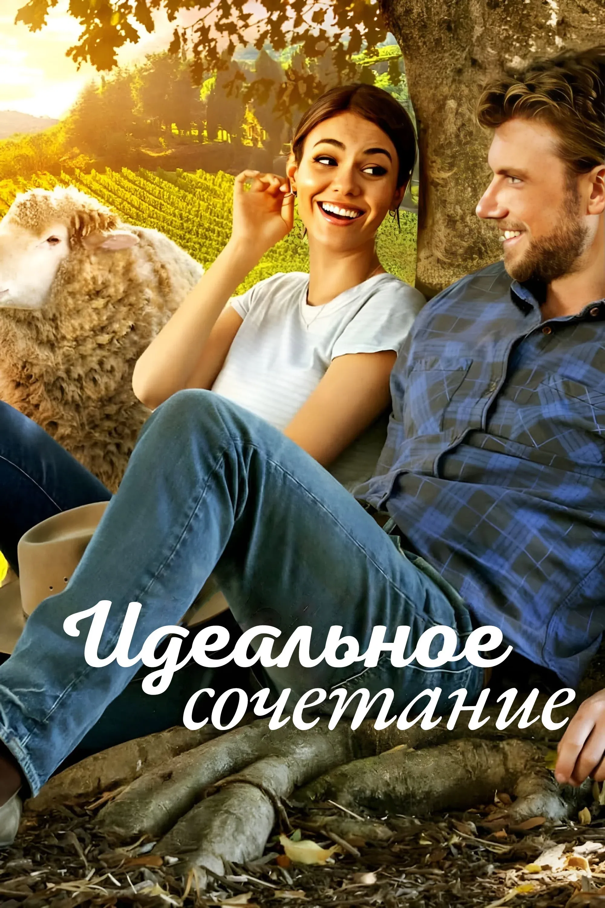 Постер фильма Идеальное сочетание