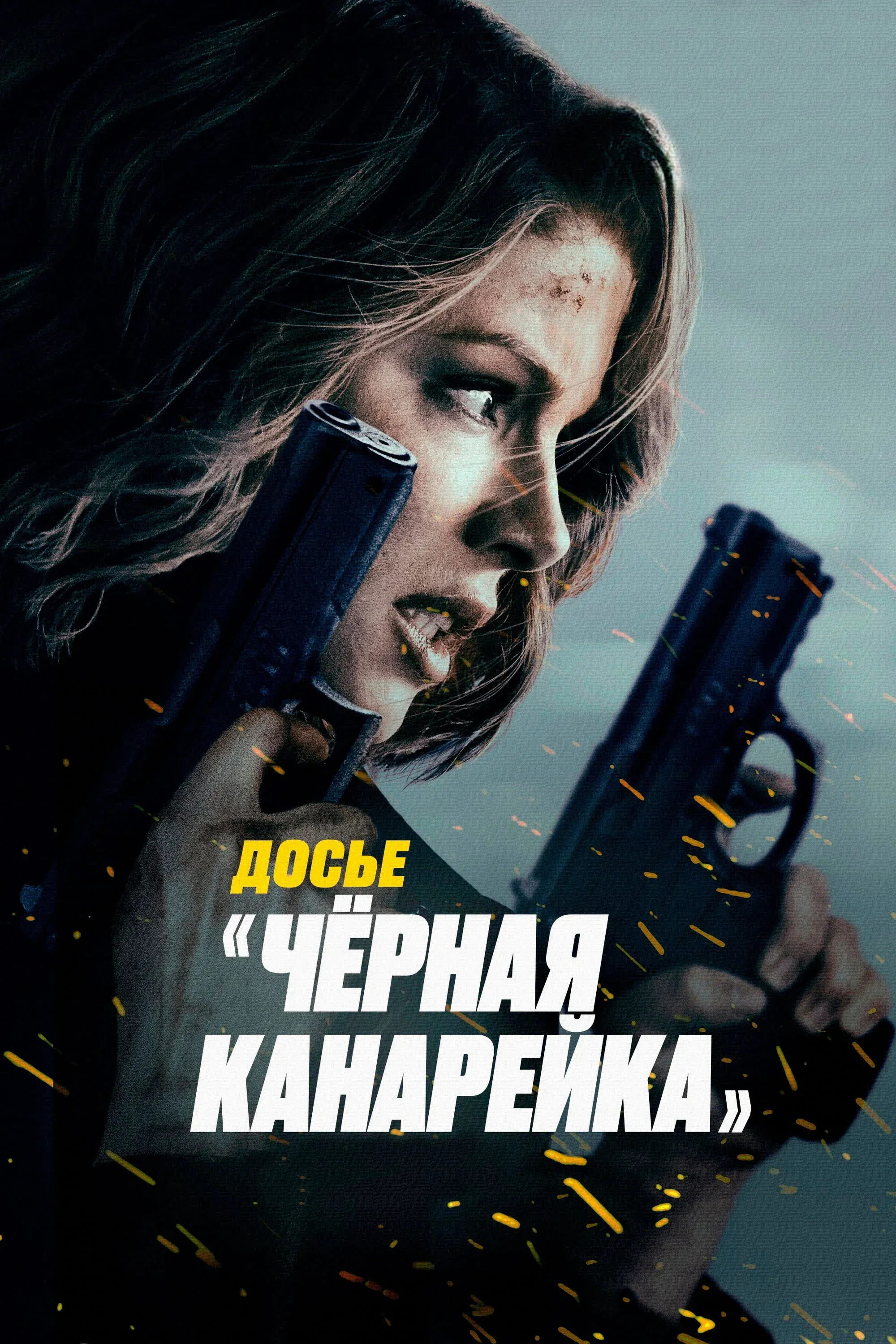 Постер фильма Досье «Чёрная канарейка»