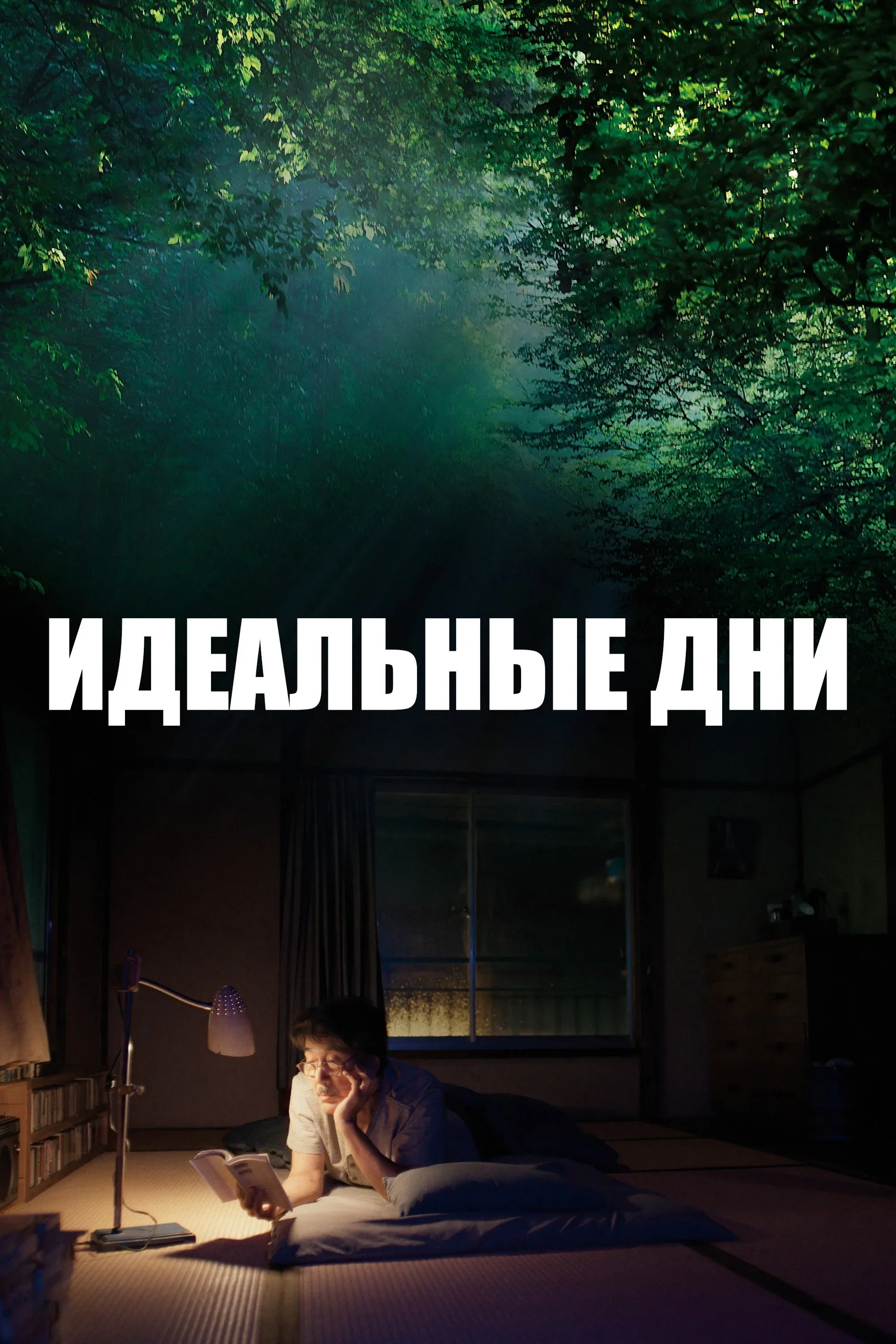 Постер фильма Идеальные дни