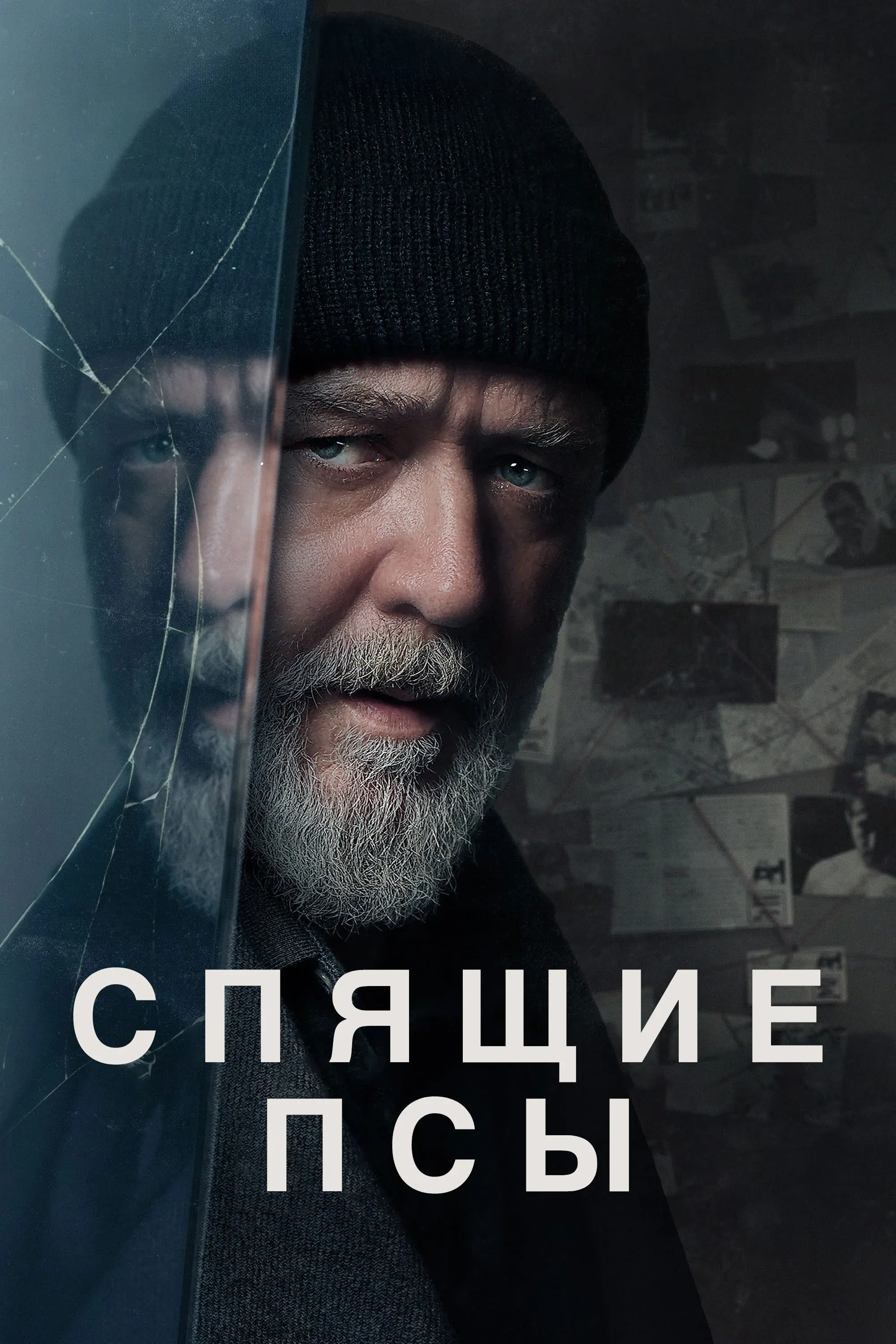 Постер фильма Спящие псы