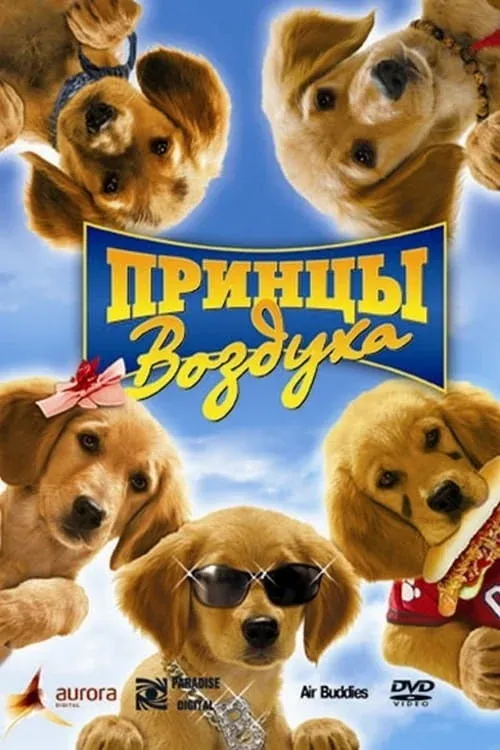 Постер фильма Принцы воздуха