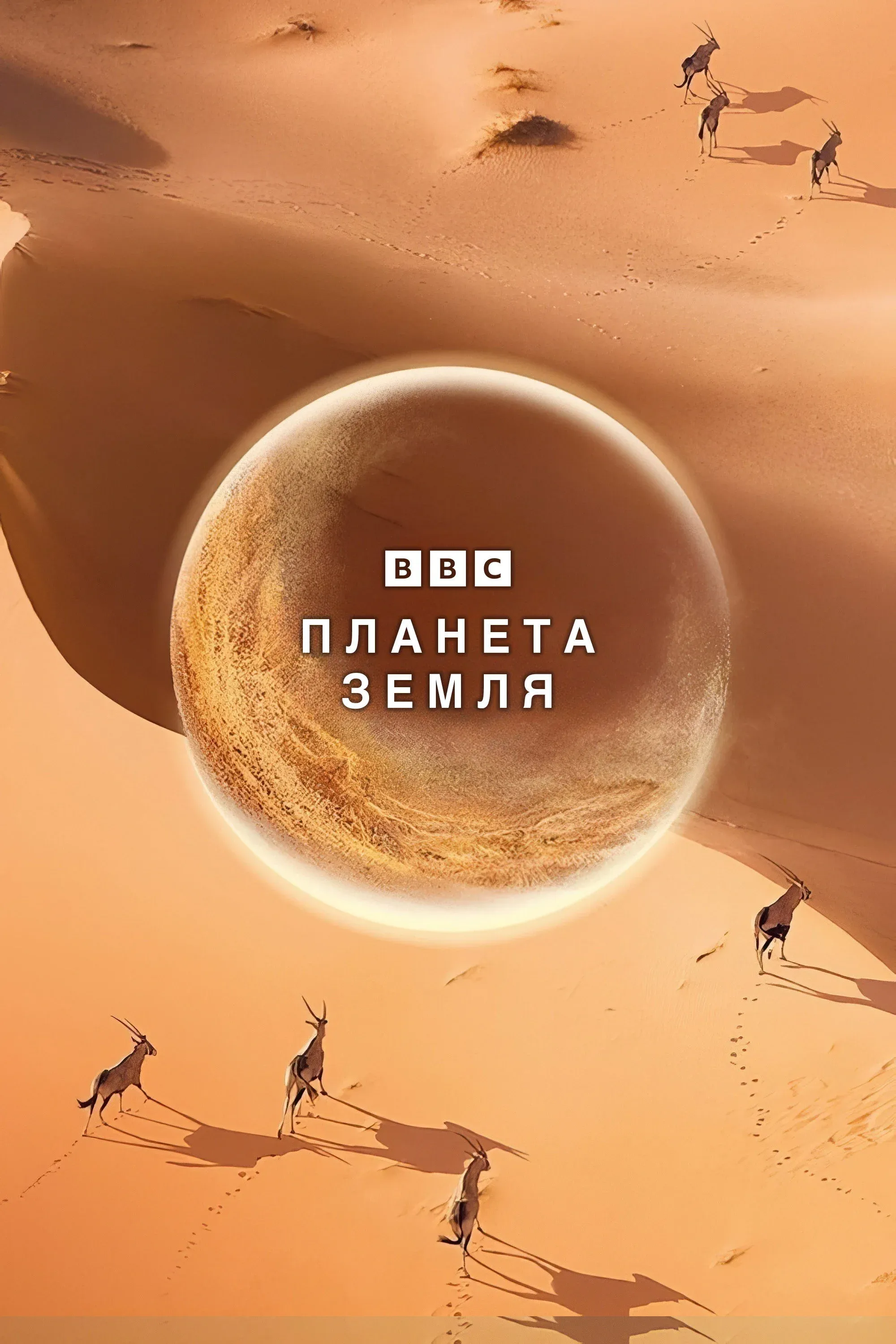 Постер фильма Планета Земля