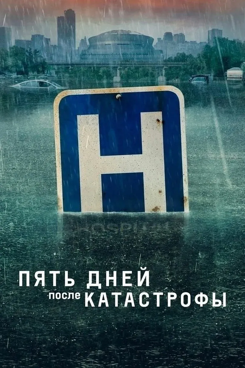 Постер фильма Пять дней после катастрофы