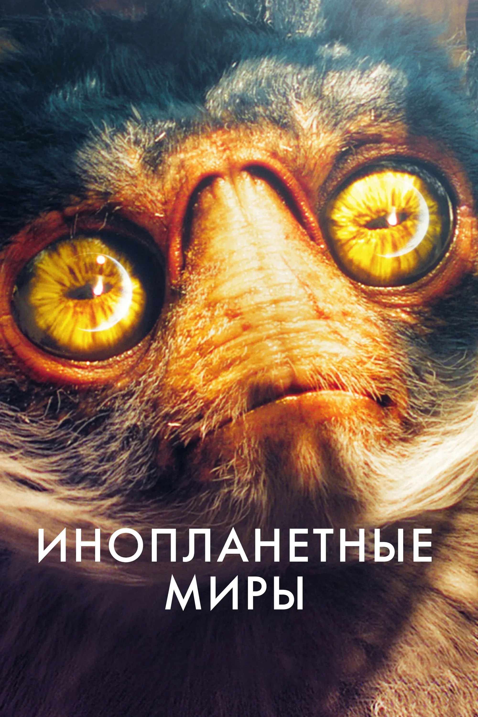 Постер фильма Инопланетные миры