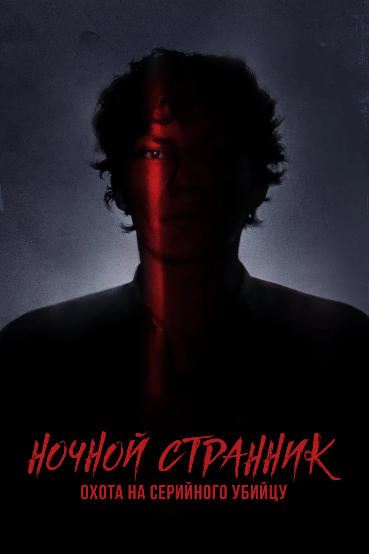 Постер фильма Ночной Странник. Охота на серийного убийцу