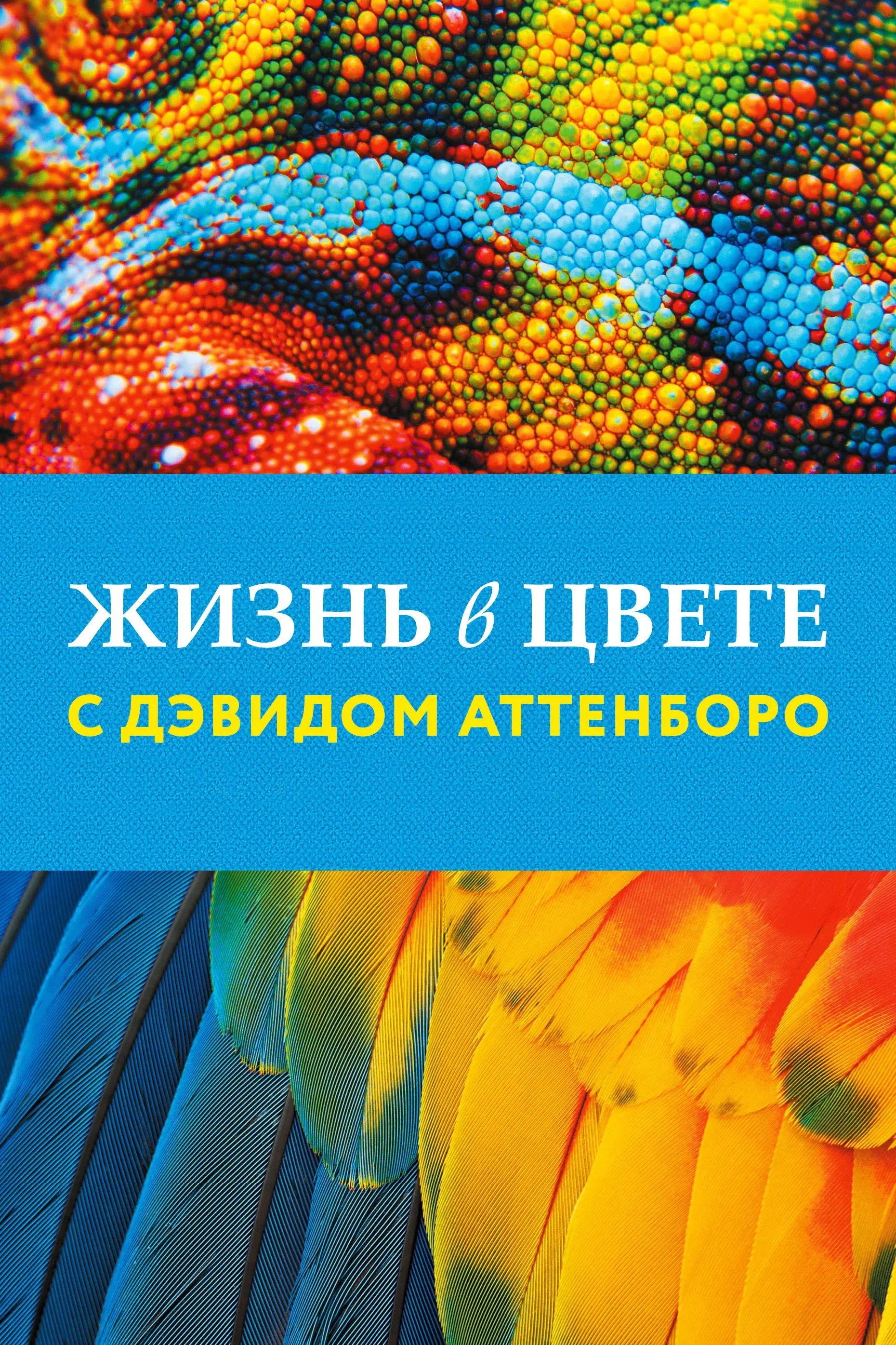 Постер фильма Жизнь в цвете с Дэвидом Аттенборо