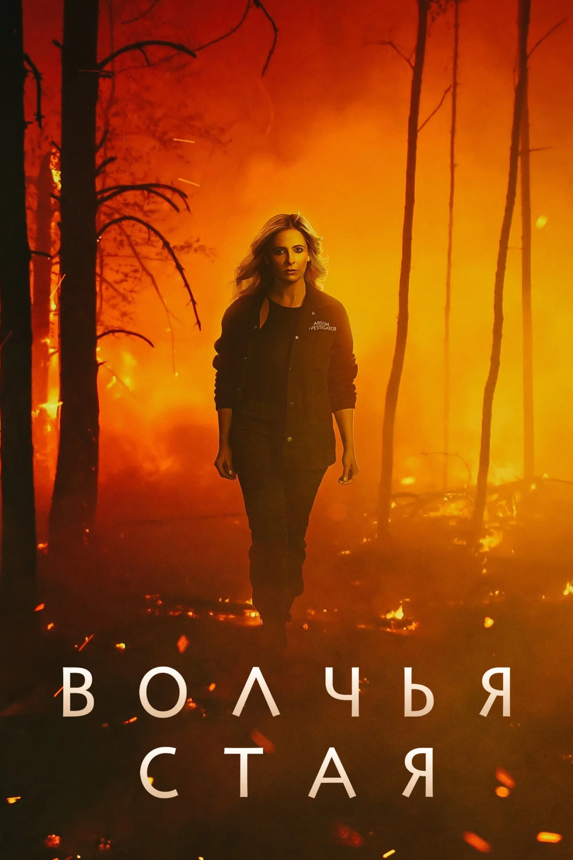 Постер фильма Волчья стая