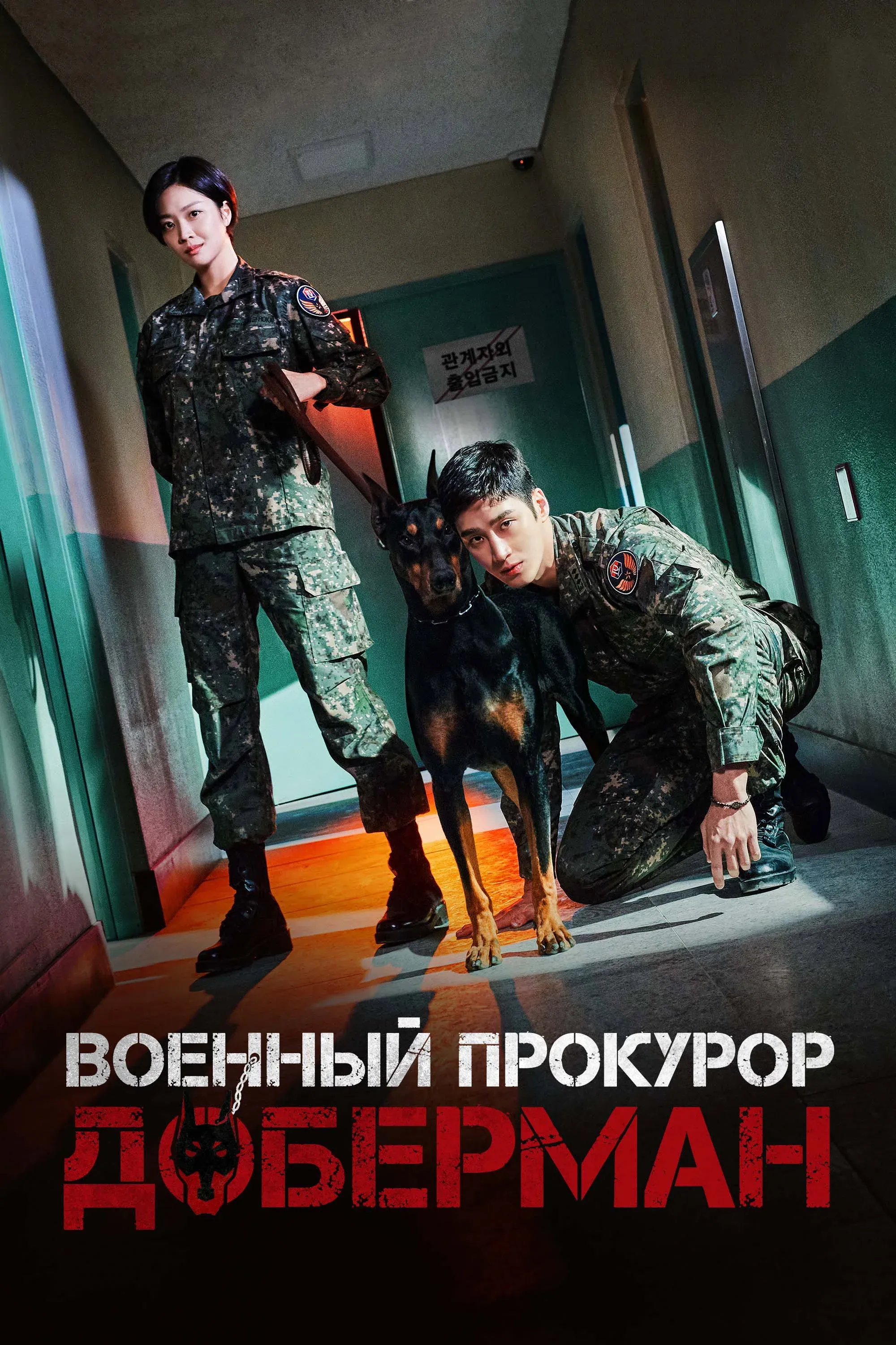 Постер фильма Военный прокурор Доберман
