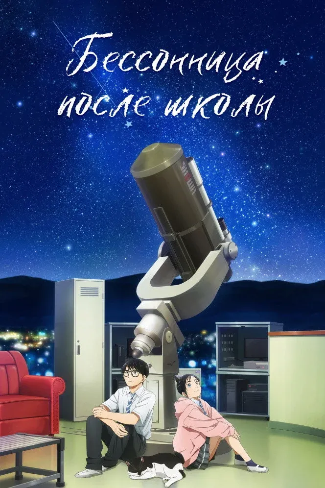 Постер фильма Бессонница после школы