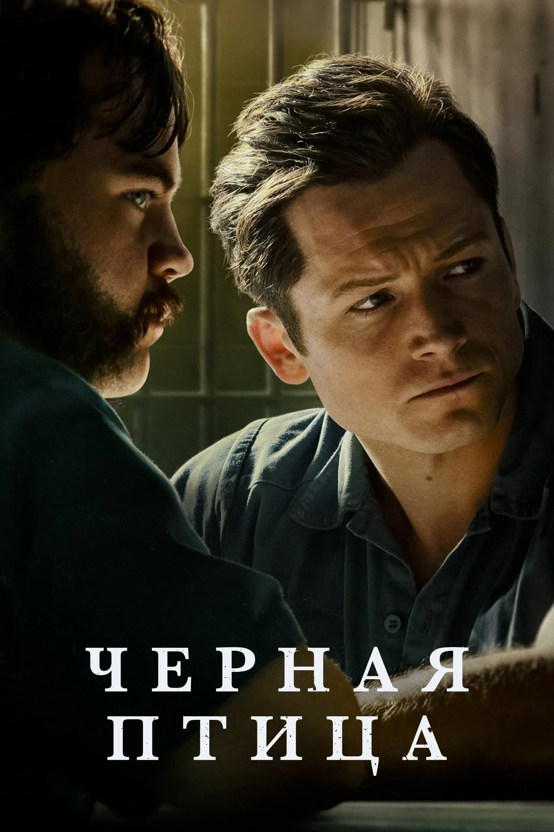Постер фильма Черная птица