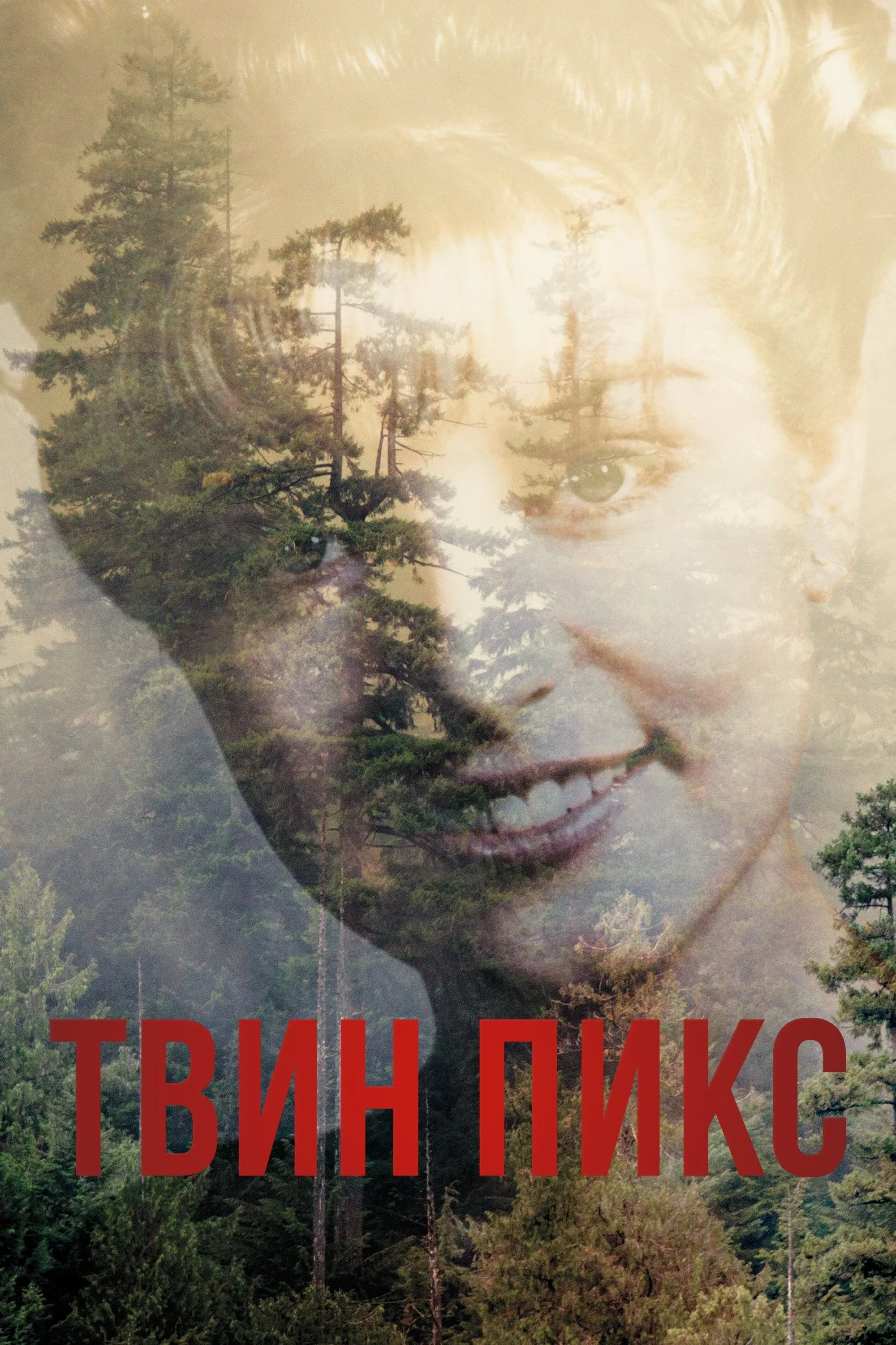 Постер фильма Твин Пикс