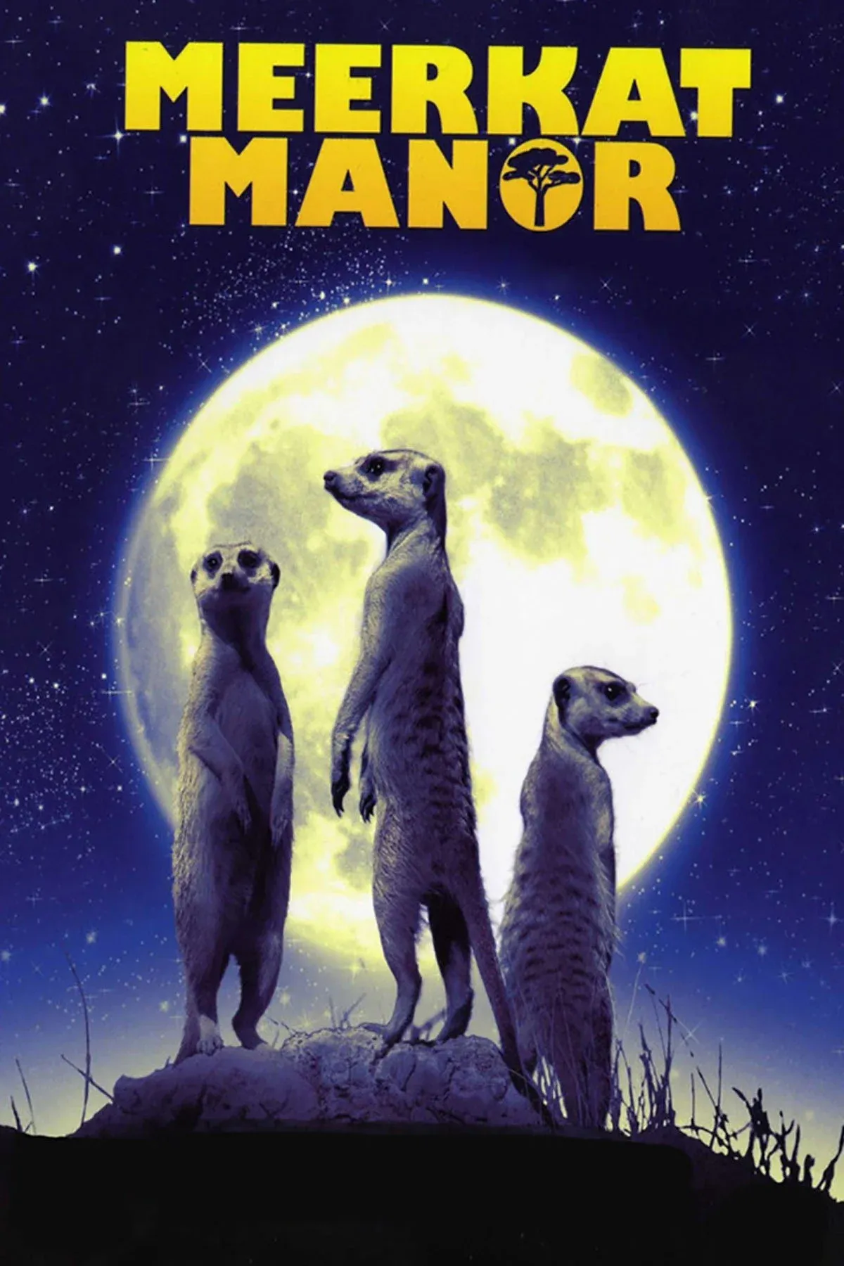 Постер фильма Поместье сурикатов