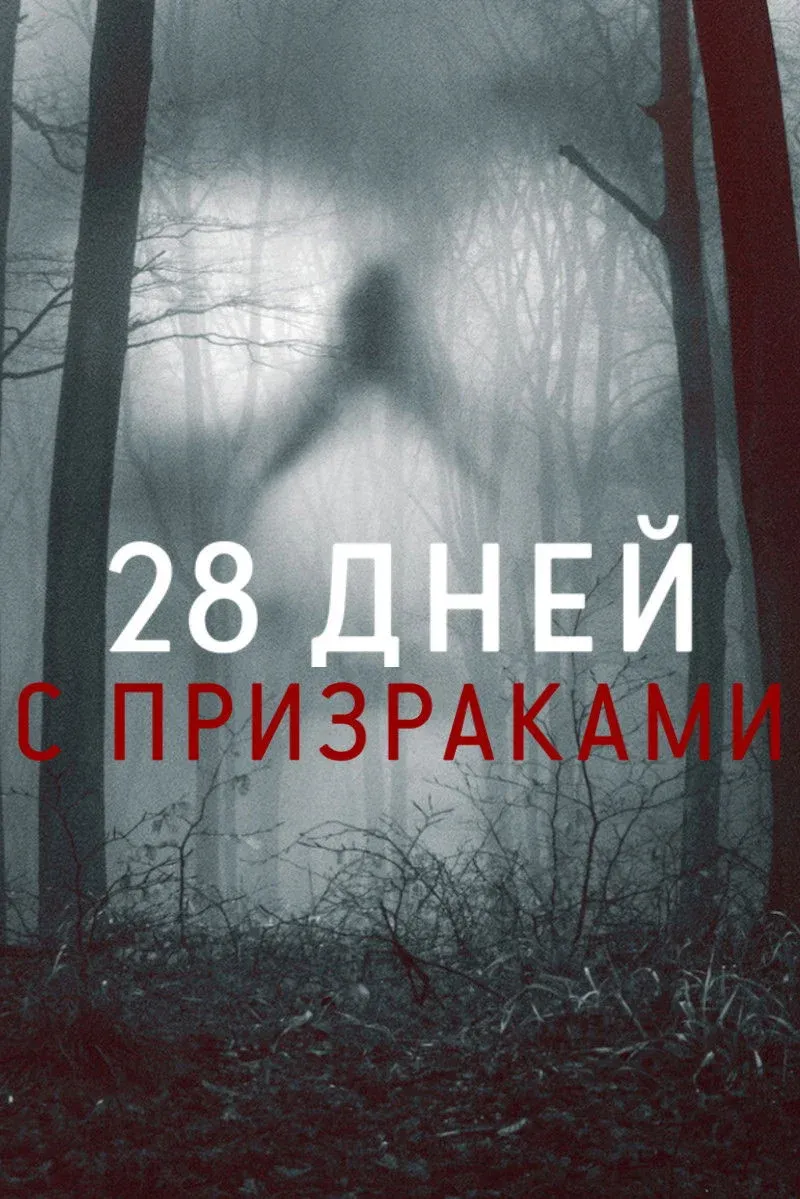 Постер фильма 28 дней с призраками