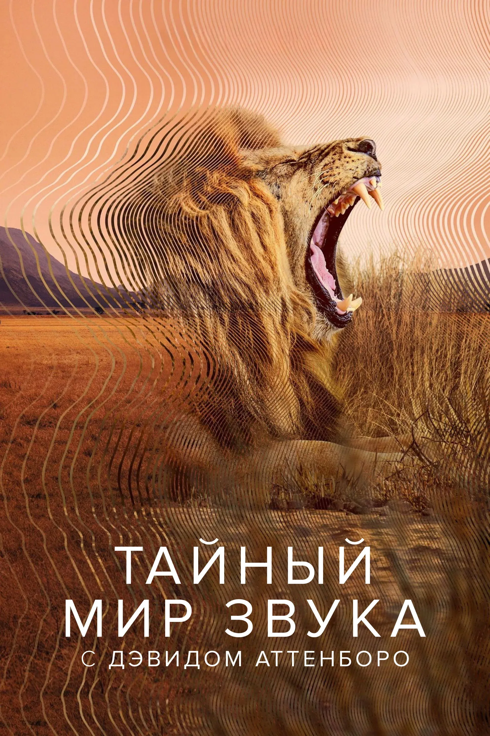 Постер фильма Тайный мир звука с Дэвидом Аттенборо