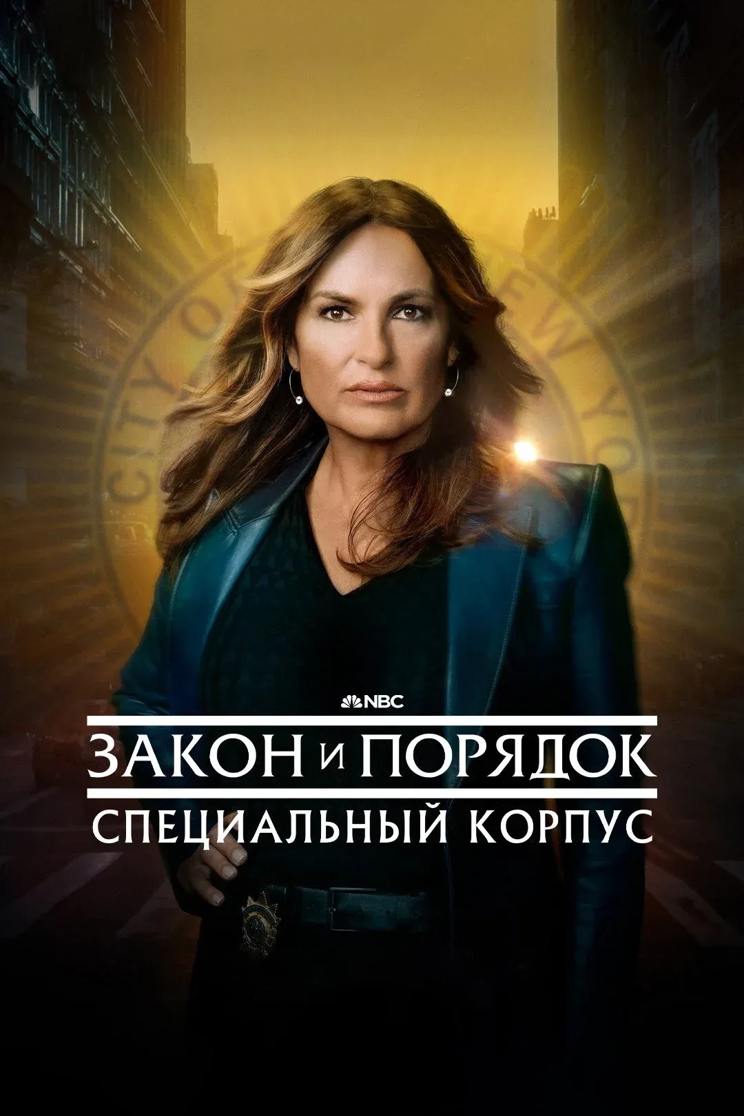 Постер фильма Закон и порядок. Специальный корпус
