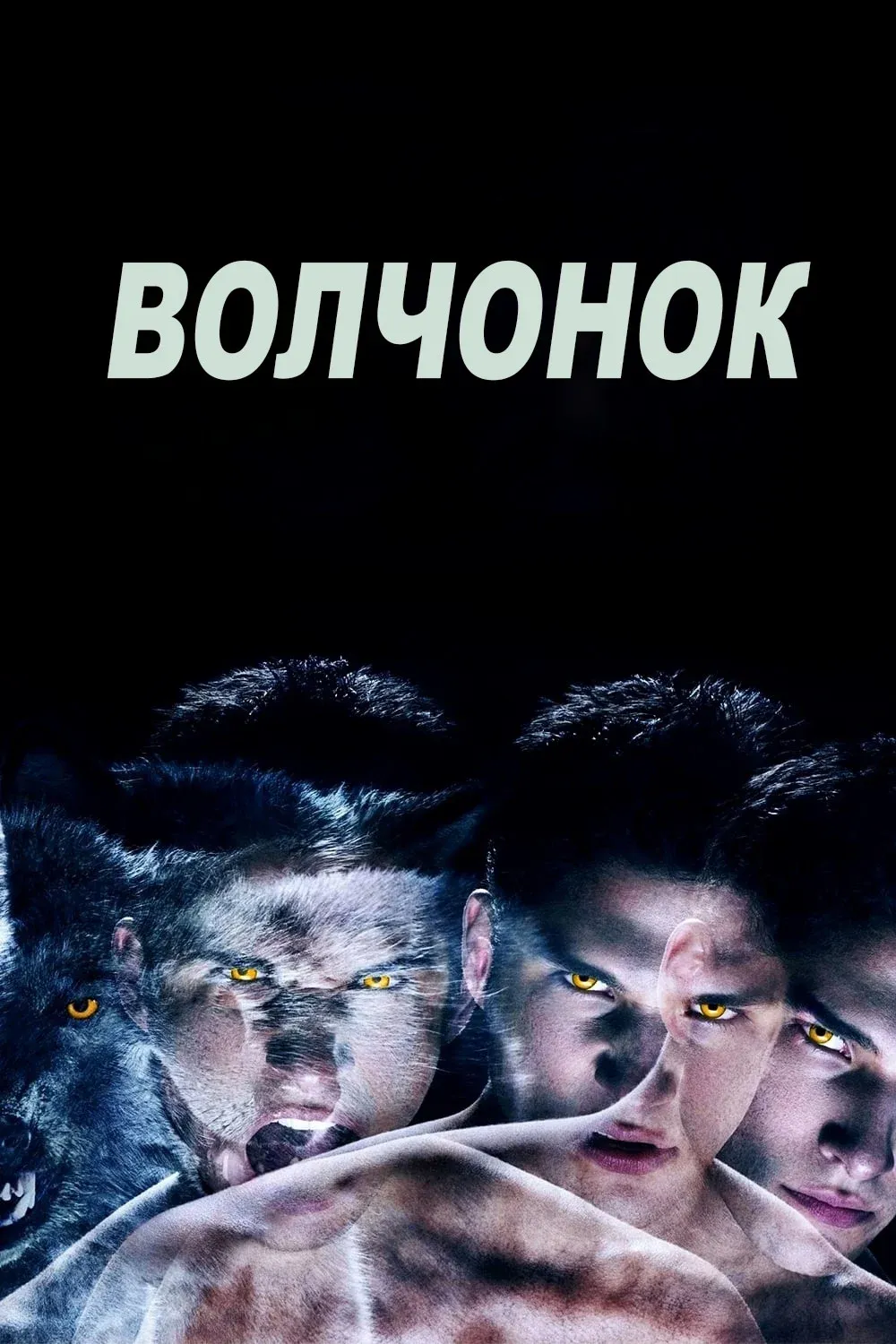 Постер фильма Волчонок