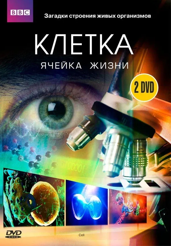 Постер фильма Клетка