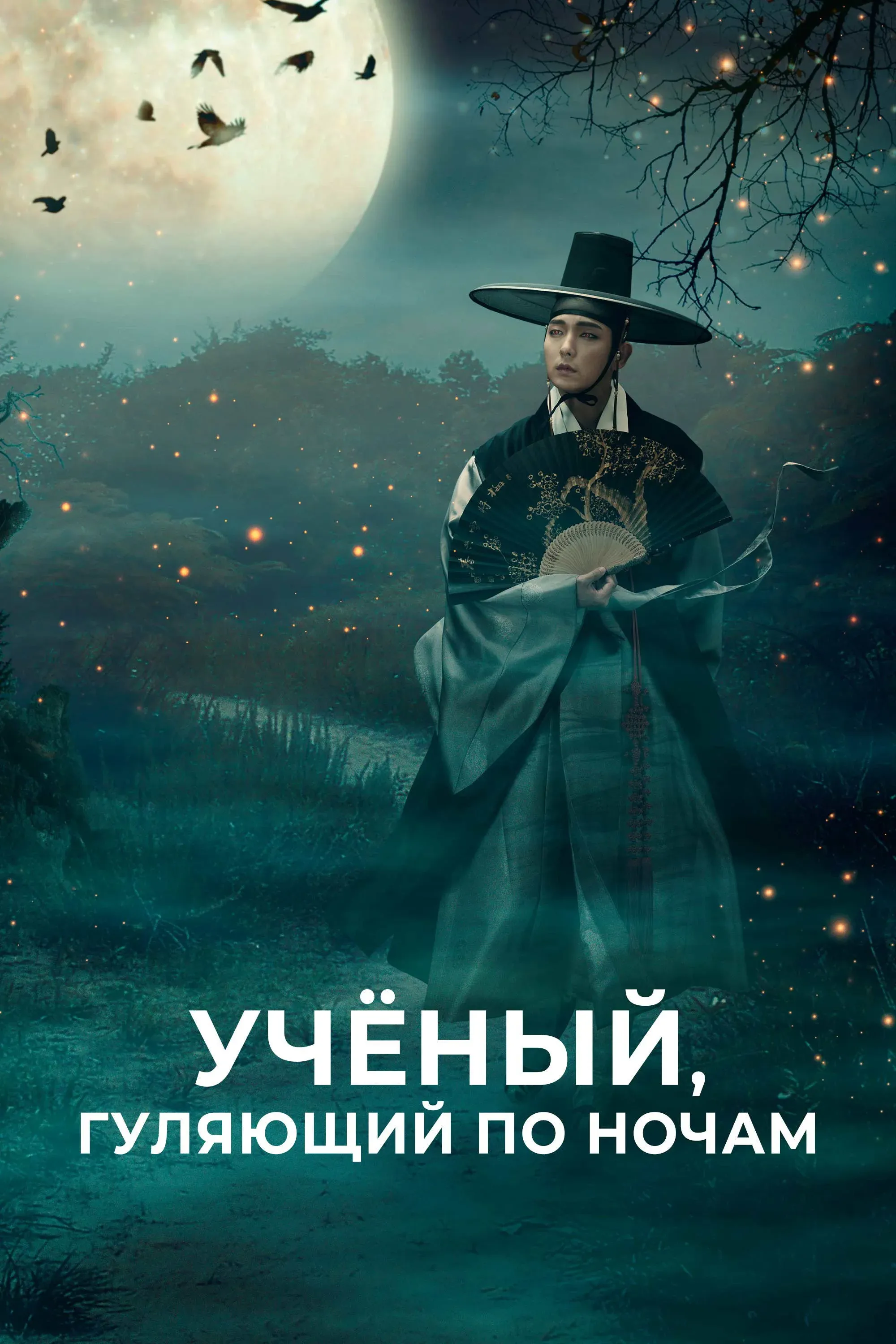 Постер фильма Учёный, гуляющий по ночам