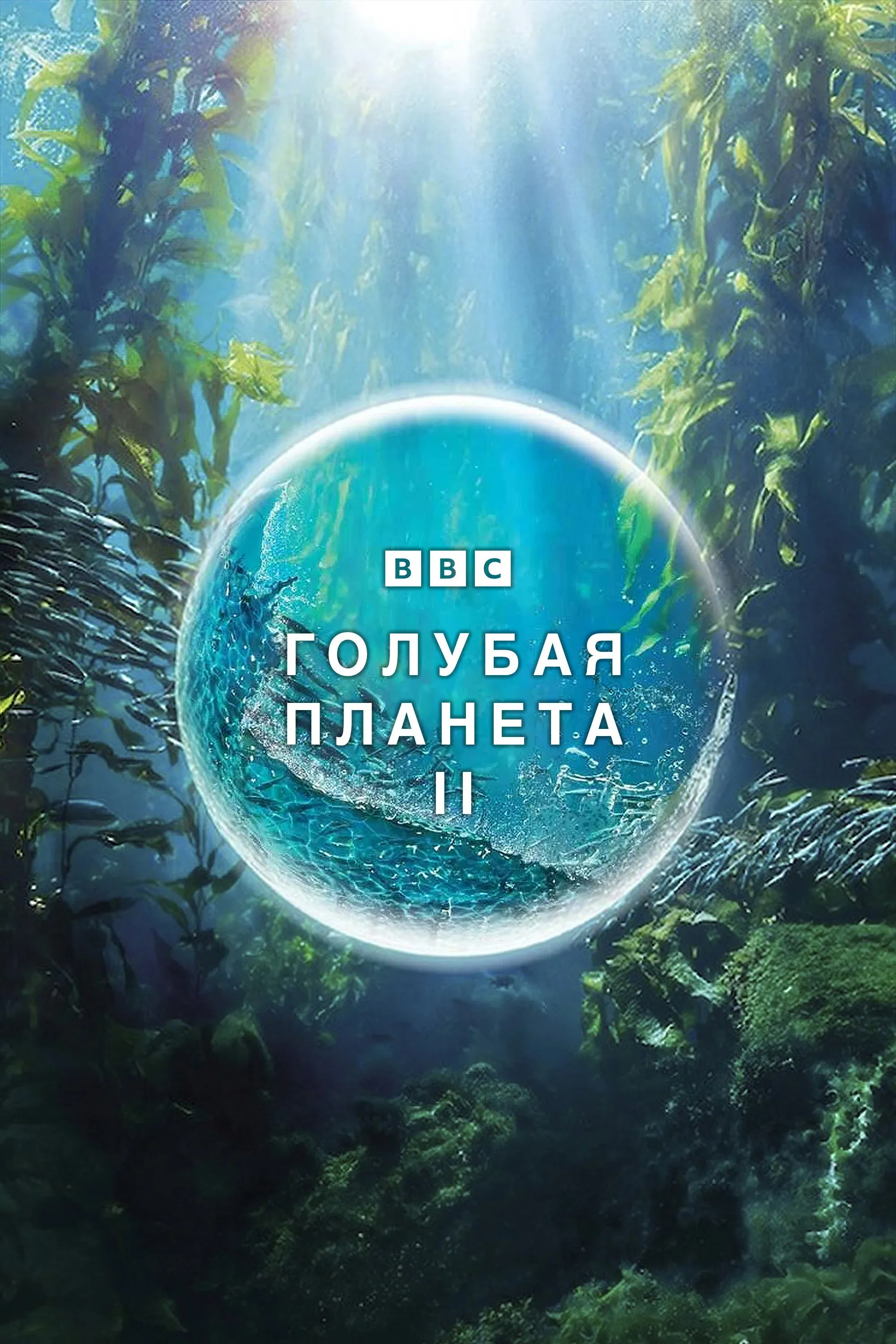 Постер фильма Голубая планета 2