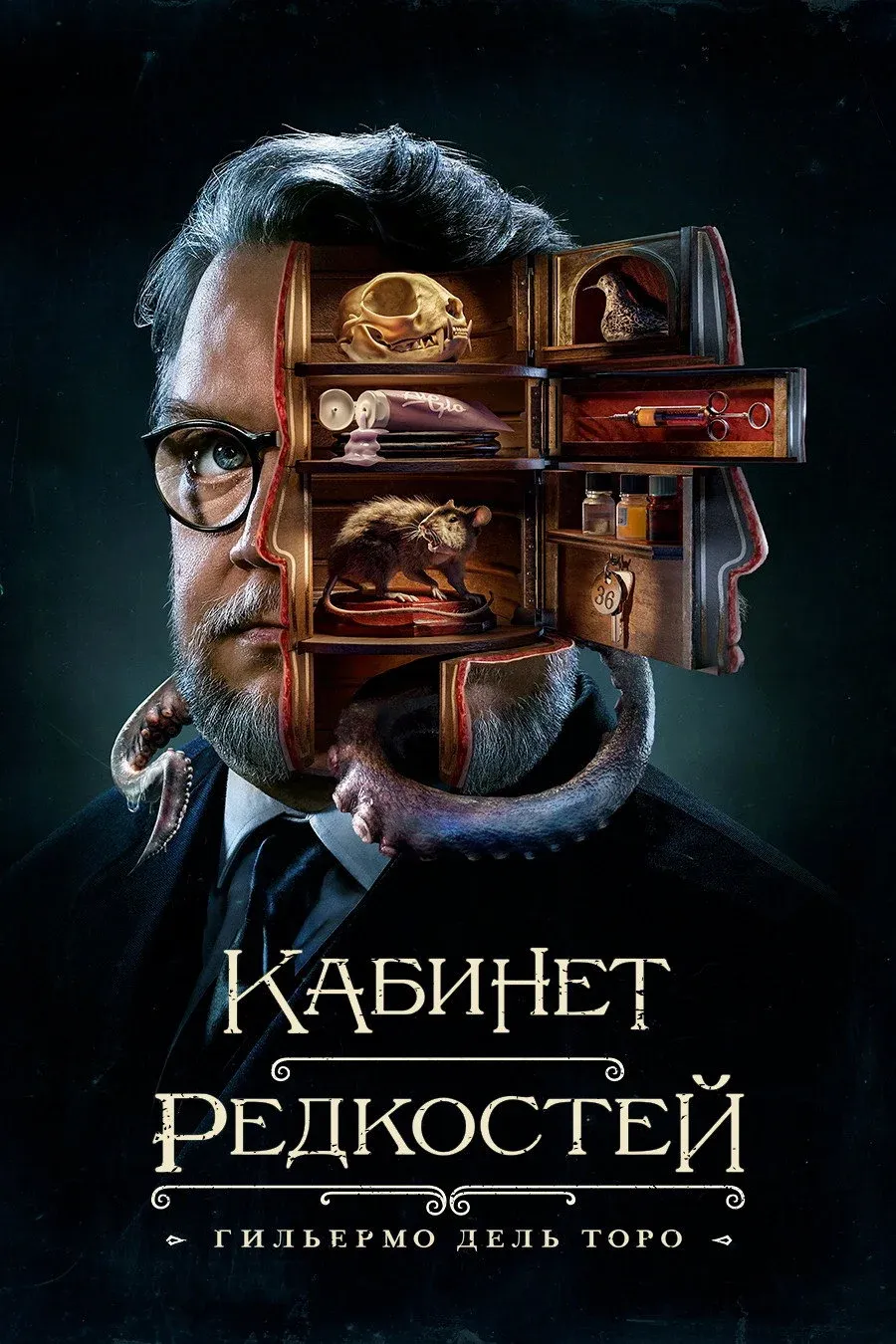 Постер фильма Кабинет редкостей Гильермо дель Торо