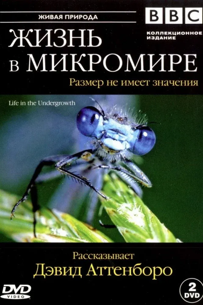 Постер фильма Жизнь в микромире