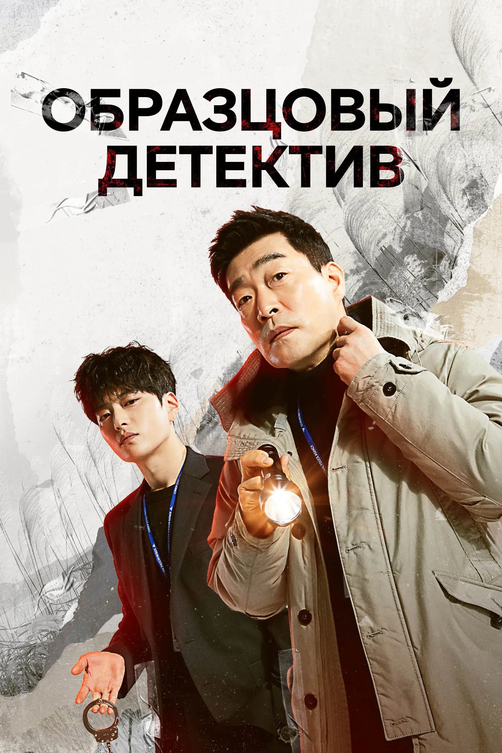 Постер фильма Образцовый детектив