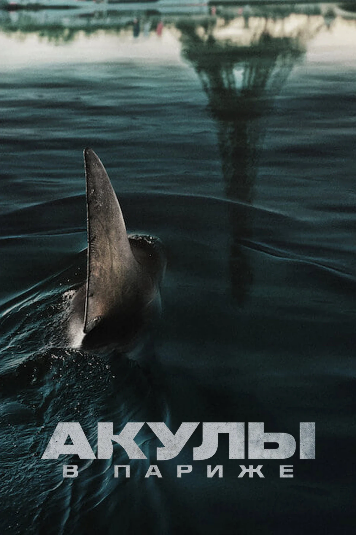 Постер фильма Акулы в Париже