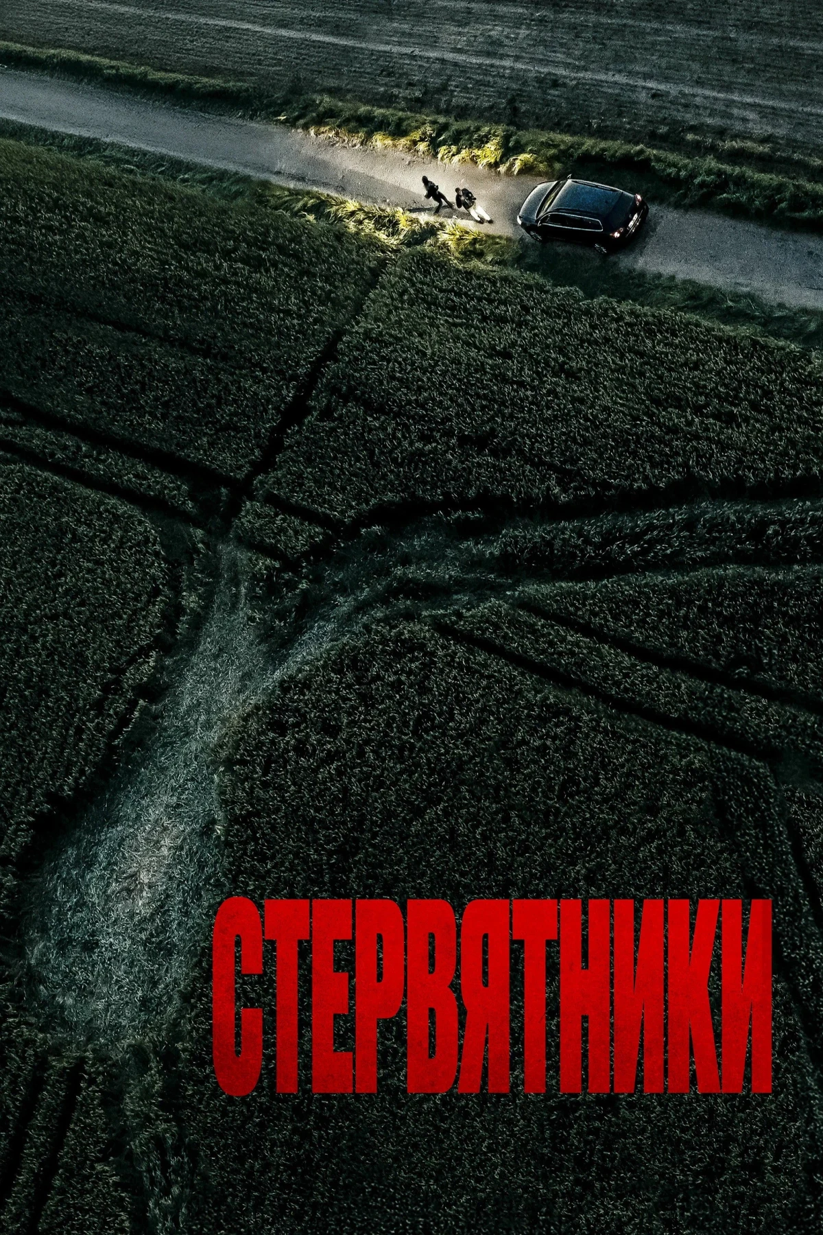 Постер фильма Стервятники