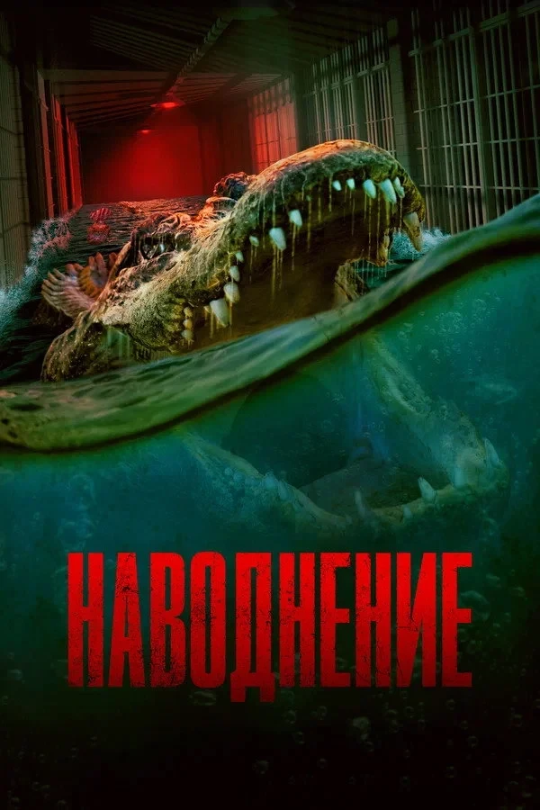 Постер фильма Наводнение