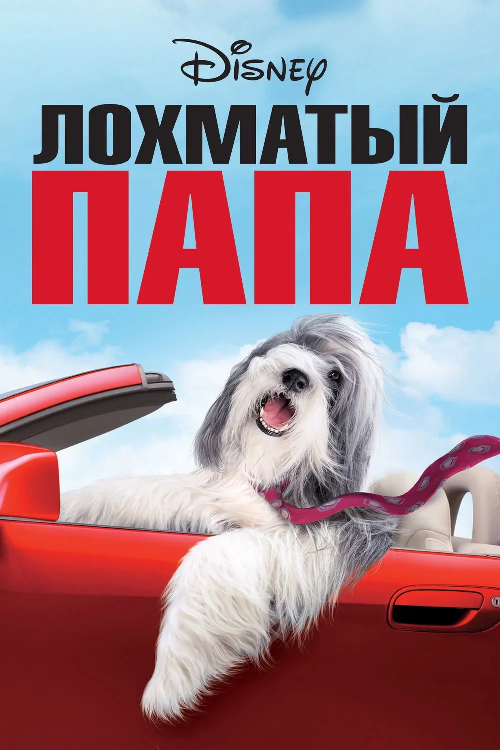 Постер фильма Лохматый папа