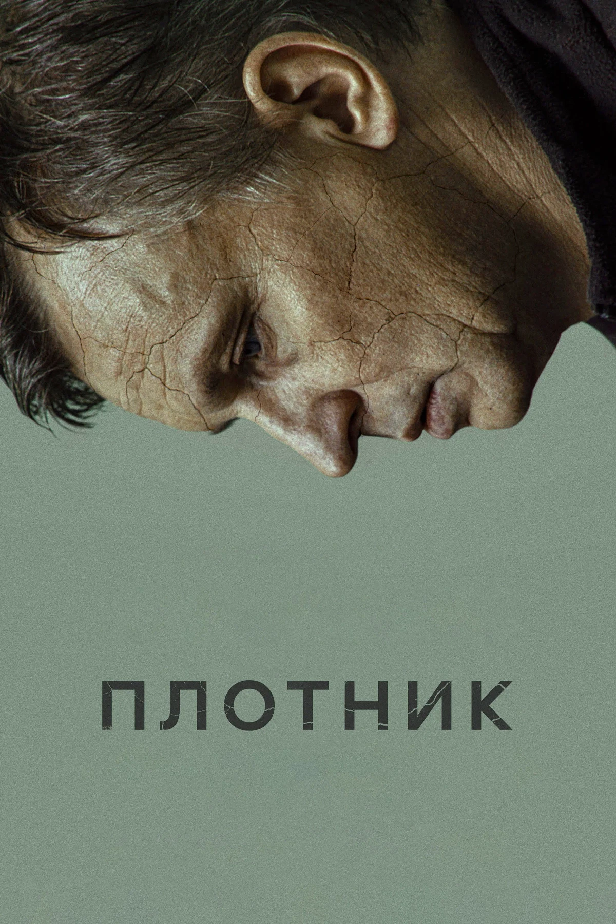 Постер фильма Плотник