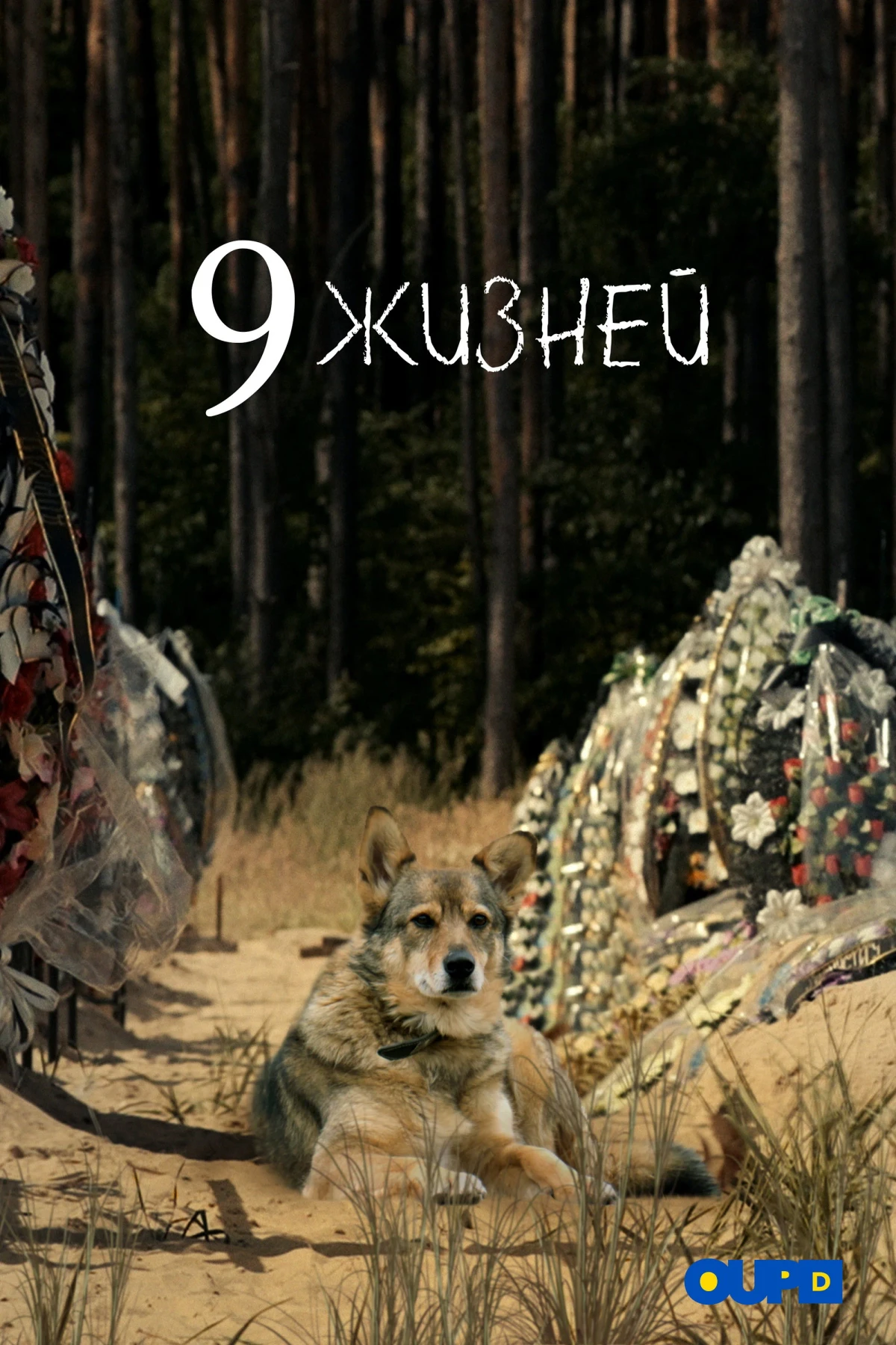 Постер фильма 9 жизней