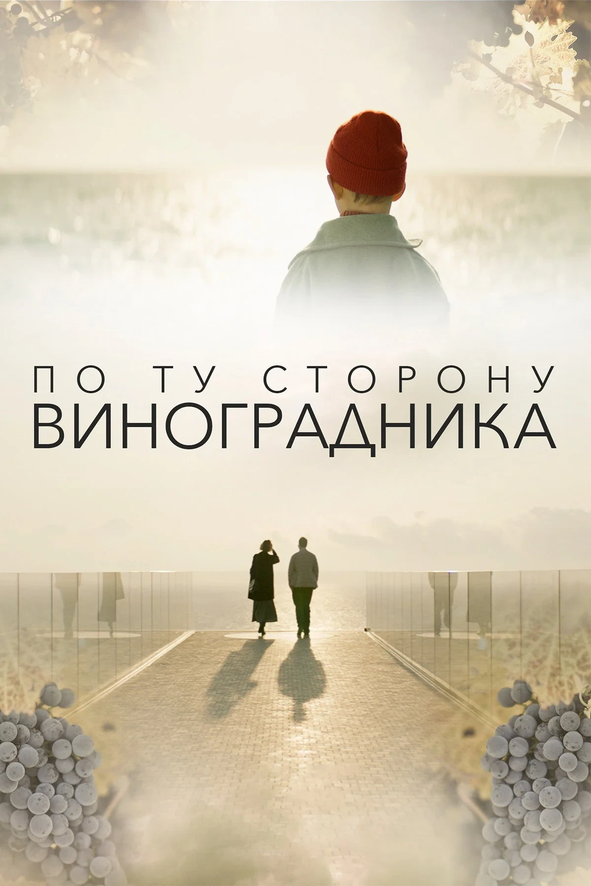 Постер фильма По ту сторону виноградника