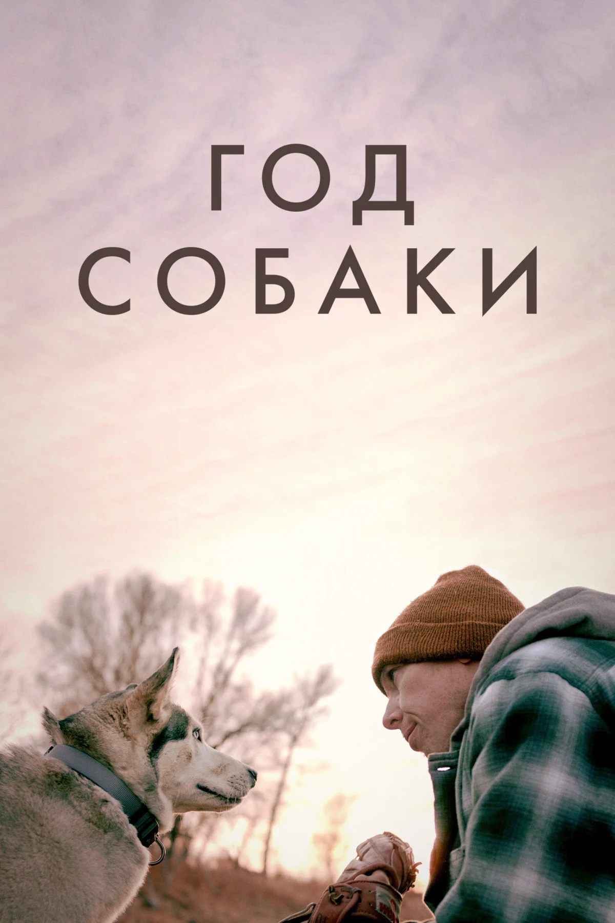 Постер фильма Год собаки