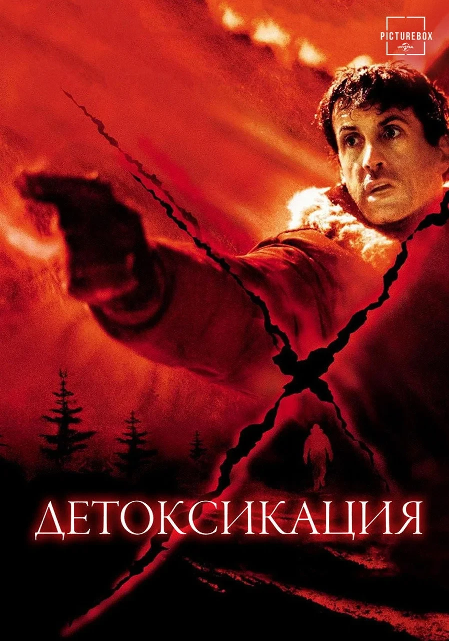 Постер фильма Детоксикация