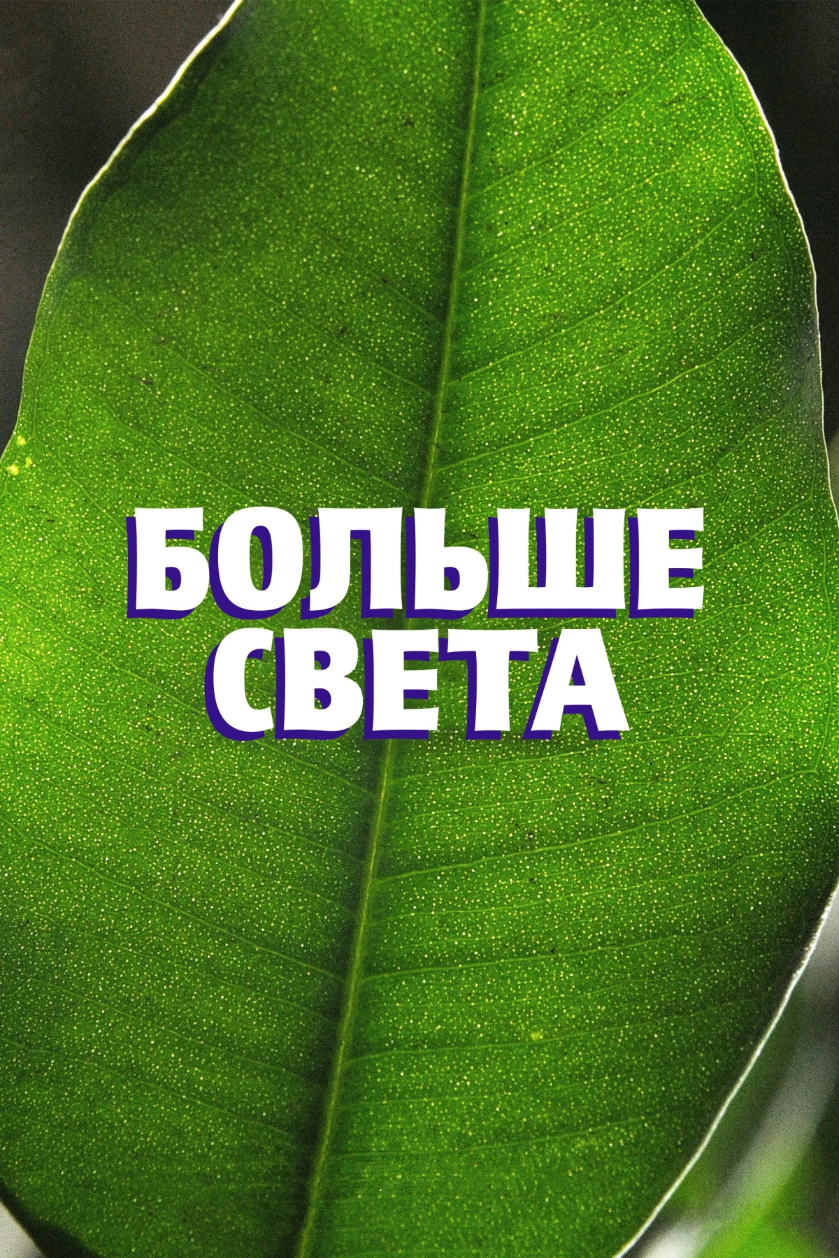 Постер фильма Больше света