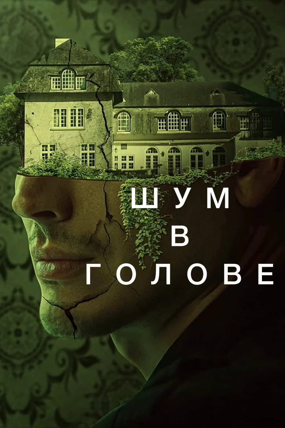 Постер фильма Шум в голове