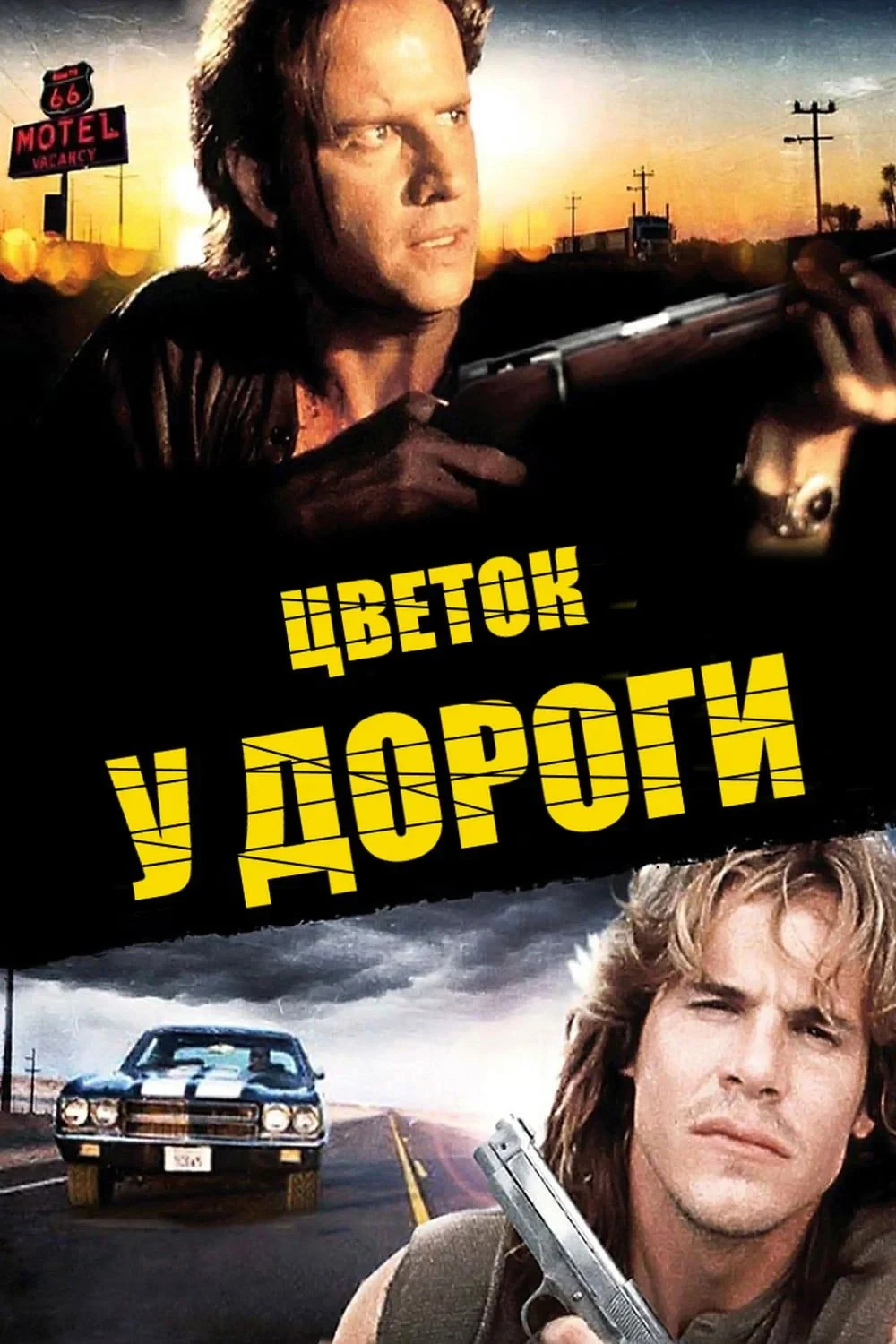 Постер фильма Цветок у дороги