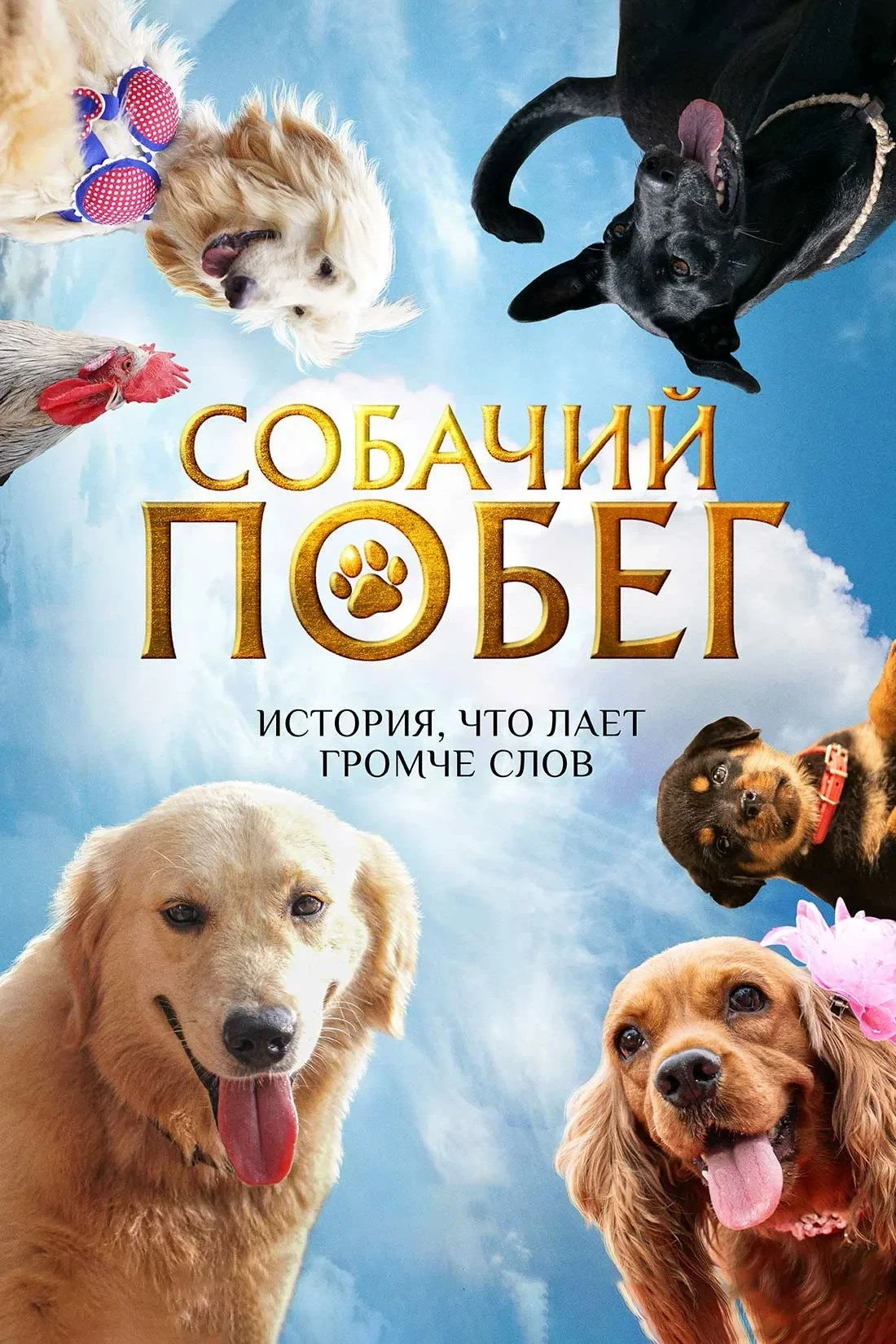 Постер фильма Собачий побег