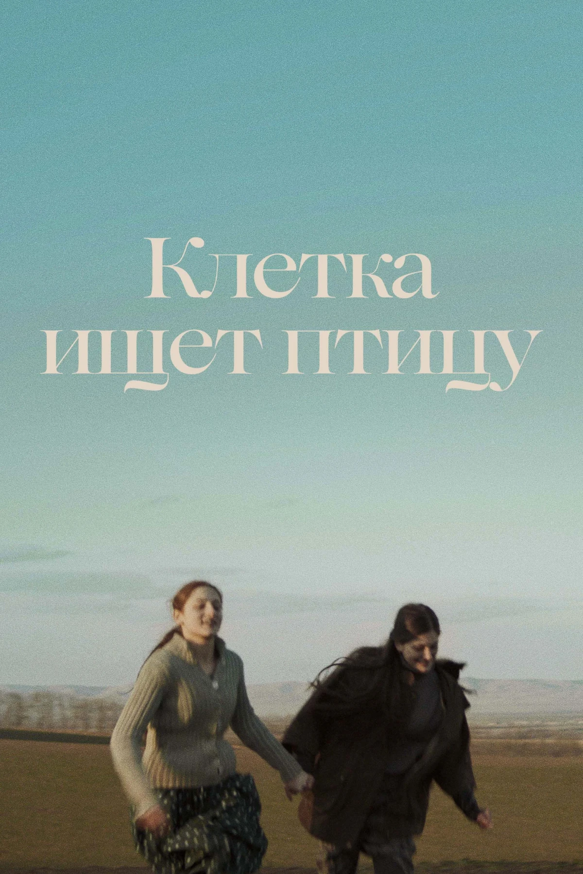 Постер фильма Клетка ищет птицу