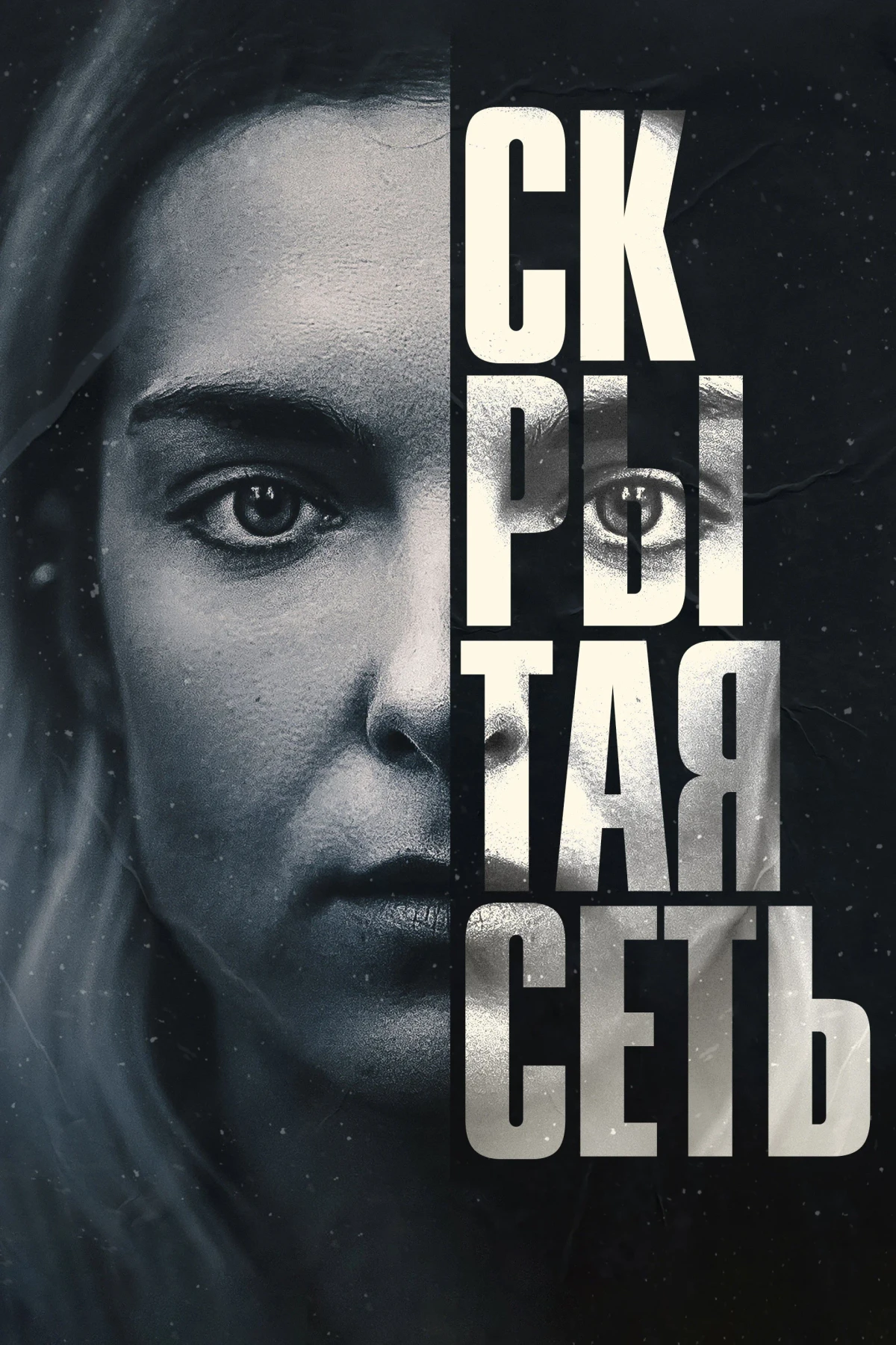 Постер фильма Скрытая сеть