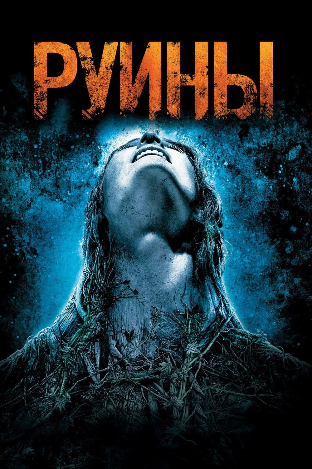 Постер фильма Руины