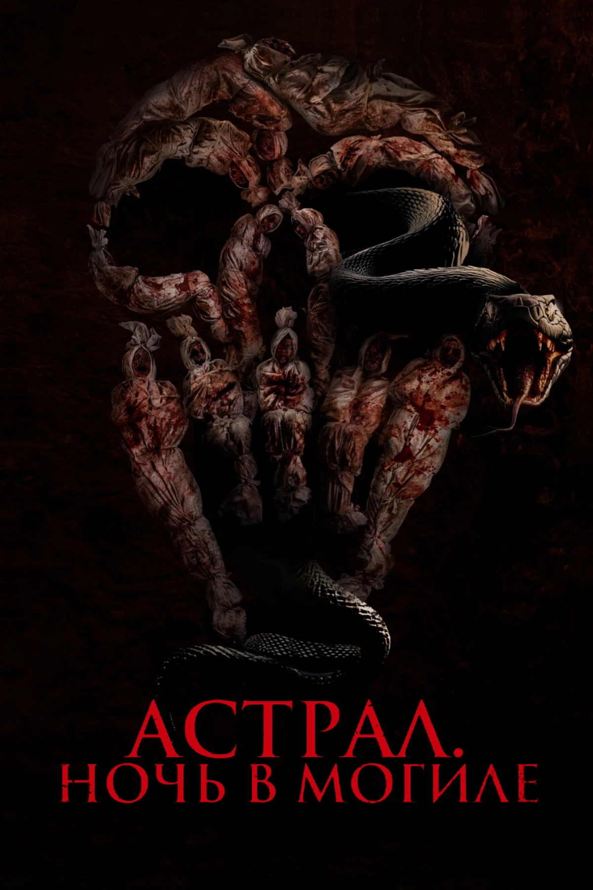 Постер фильма Астрал. Ночь в могиле