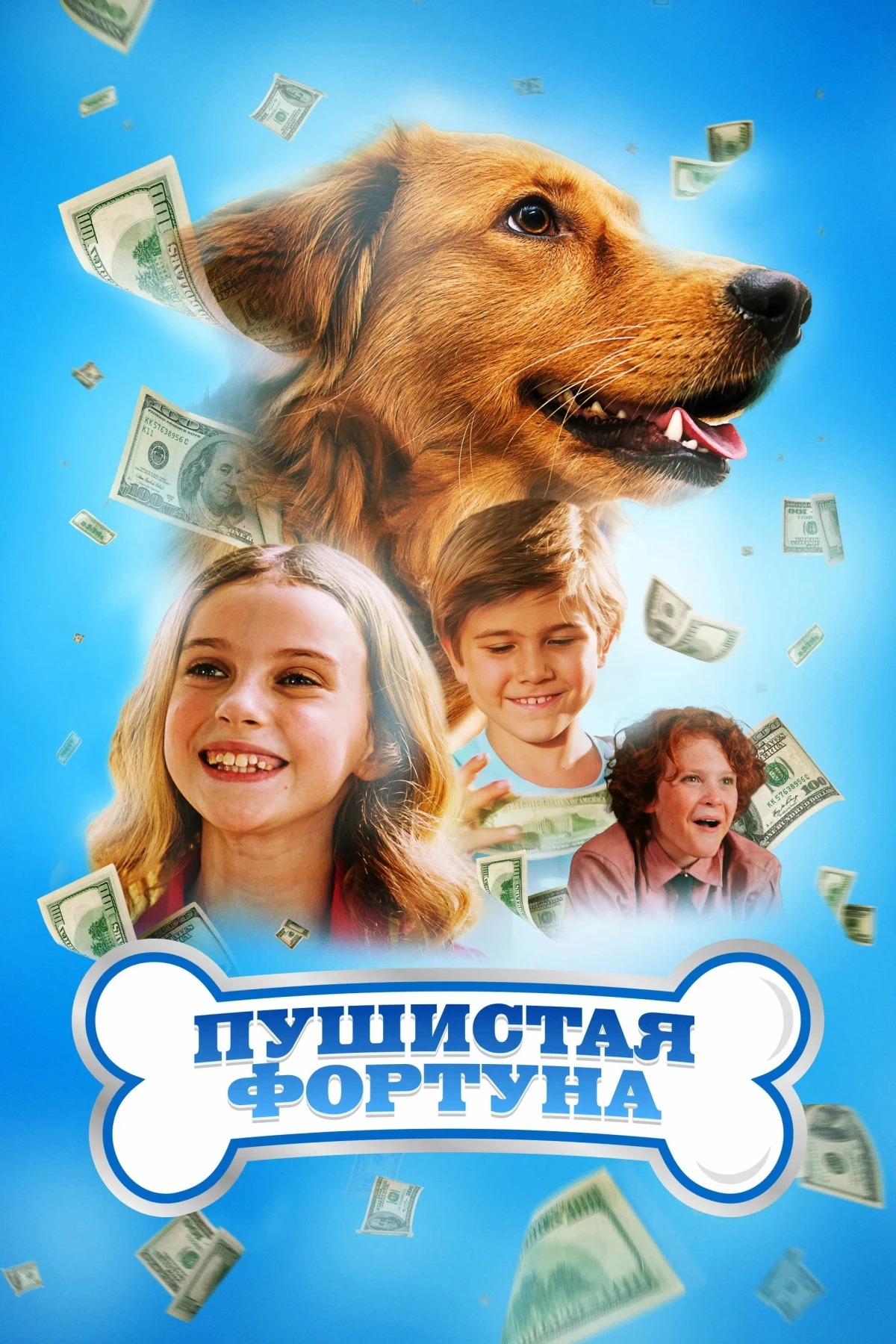 Постер фильма Пушистая фортуна