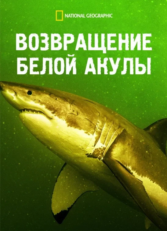 Постер фильма Возвращение белой акулы